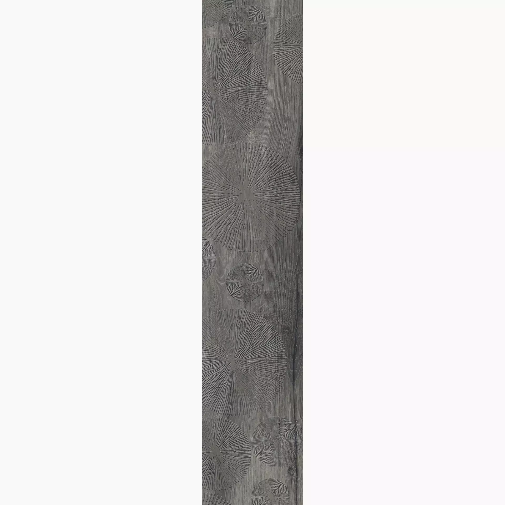 Rondine Daring Dark Naturale Decor Infinity J88953 24x120cm 9,5mm