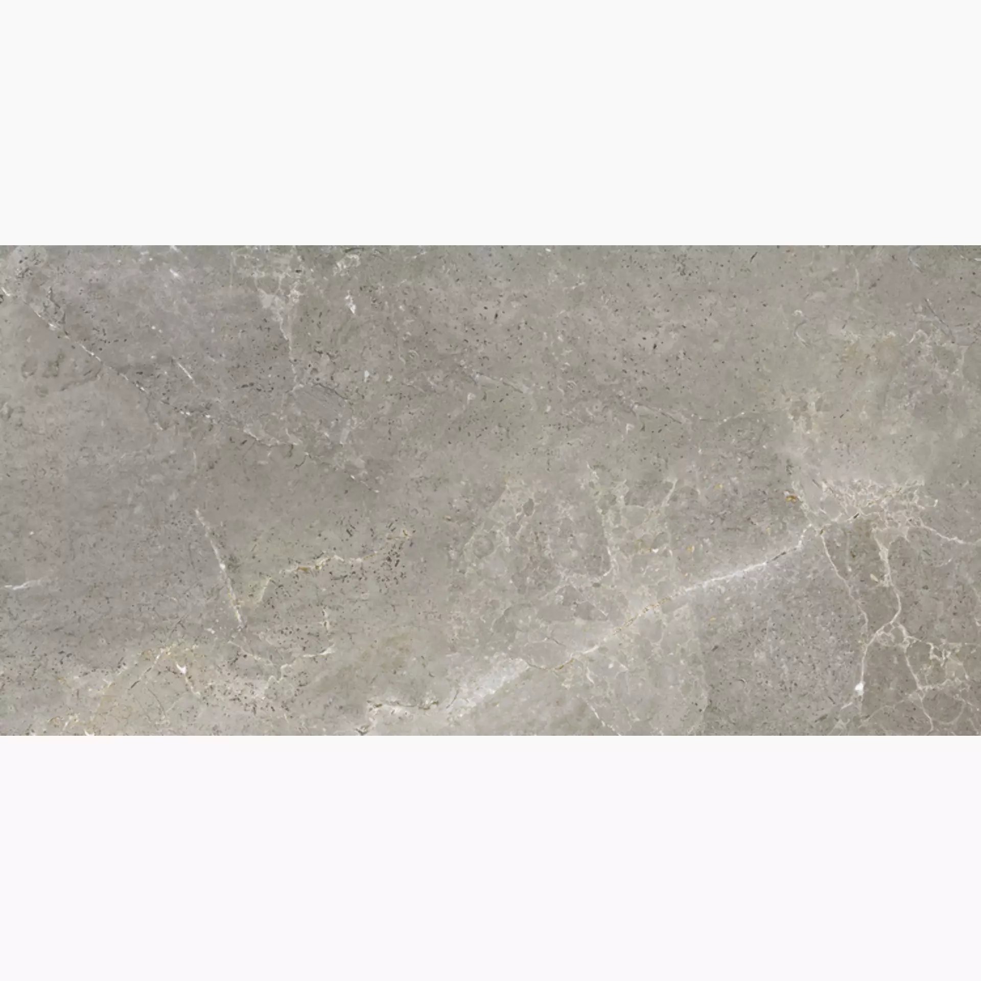Maxfine Art Stone Abyss Grey Naturale P737592MF6 37,5x75cm rektifiziert 6mm