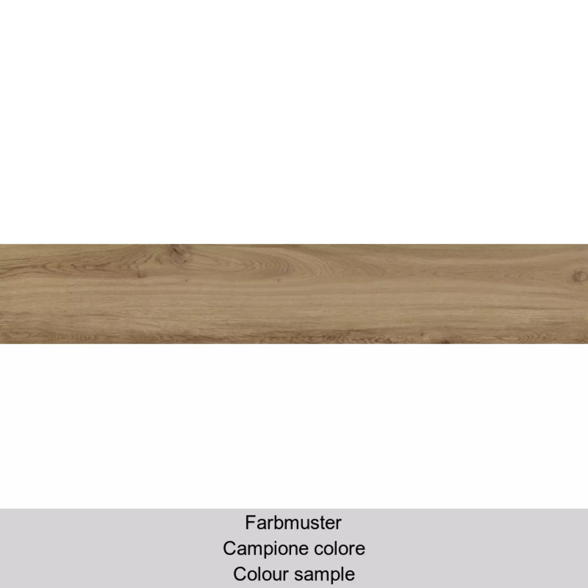 Panaria Borealis Abisko Antibacterial - Esterno APG0BE05 20x120cm rectified 9mm