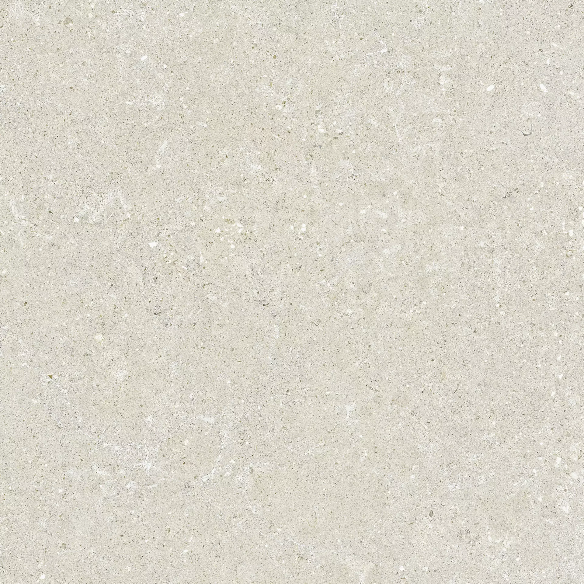 Del Conca Hwd Wild White Hwd Naturale G9WD10R 60x60cm rectified 8,5mm