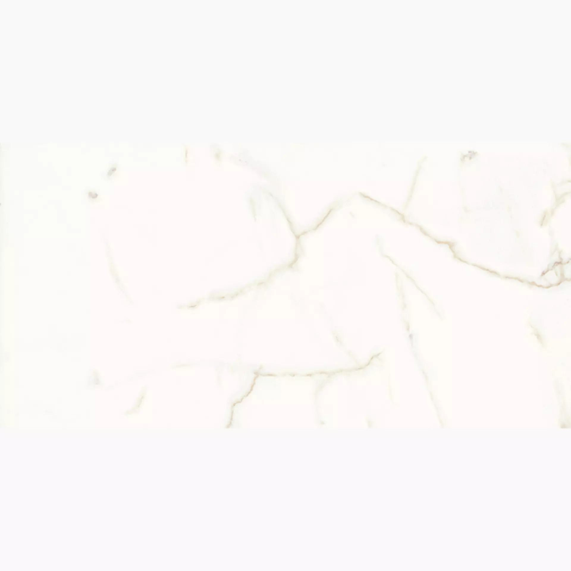 Ariostea Ultra Marmi Bianco Calacatta Levigato Silk UM6SK37536 37,5x75cm rectified 6mm