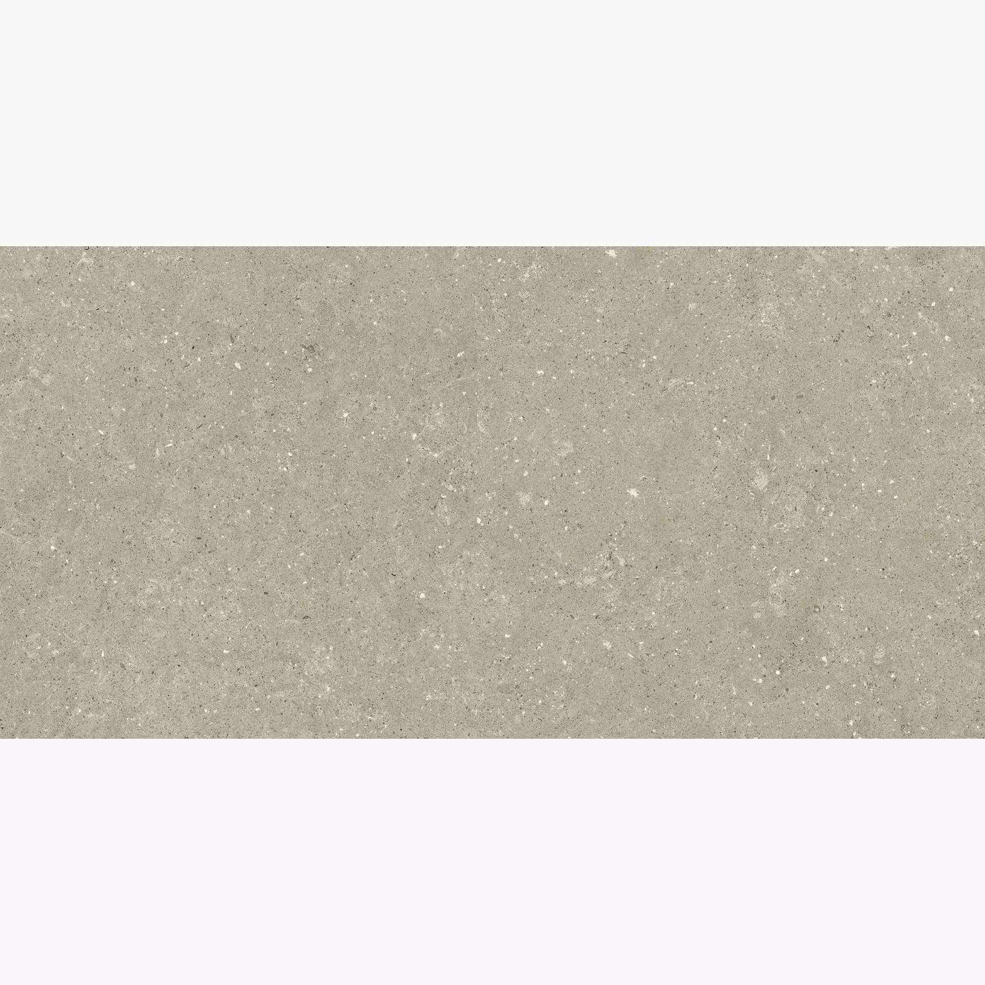 Del Conca Hwd2 Wild2 Greige Hwd211 Naturale SCWD11R 60x120cm rectified 20mm