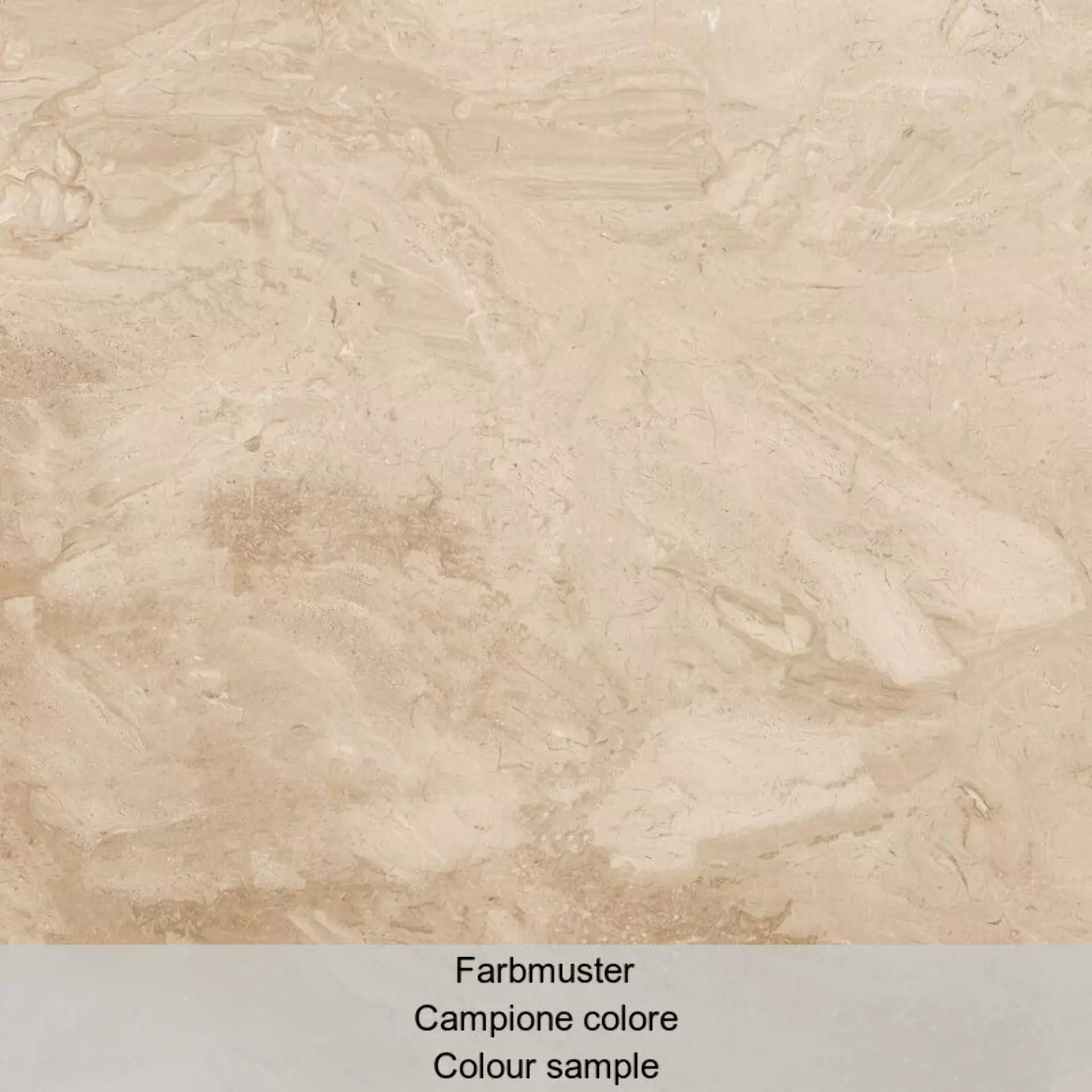 Casalgrande Marmoker Breccia Carsica Naturale – Matt Breccia Carsica 10990008 natur matt 90x90cm rektifiziert 10mm