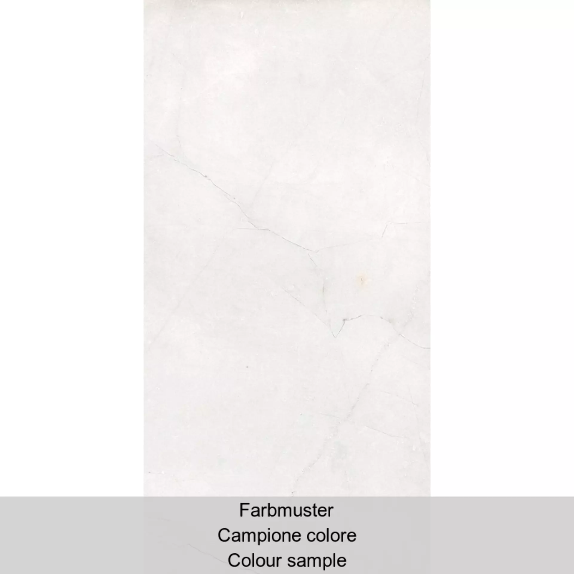 Cerdomus Pulpis Bianco Levigato Bianco 72890 geschliffen 30x60cm rektifiziert 9,5mm