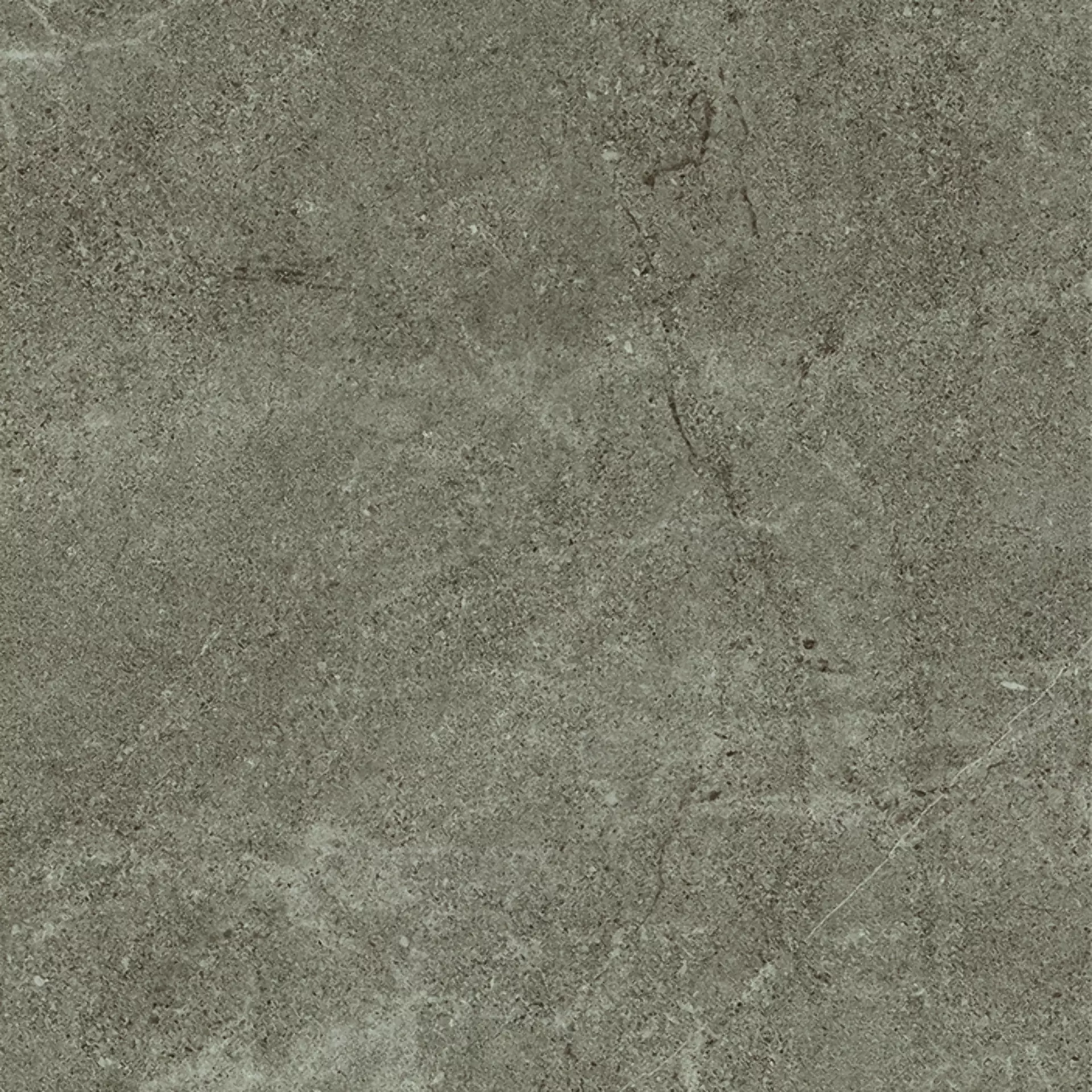 Cercom Archistone Taupe Naturale 1081749 100x100cm rectified 8,5mm