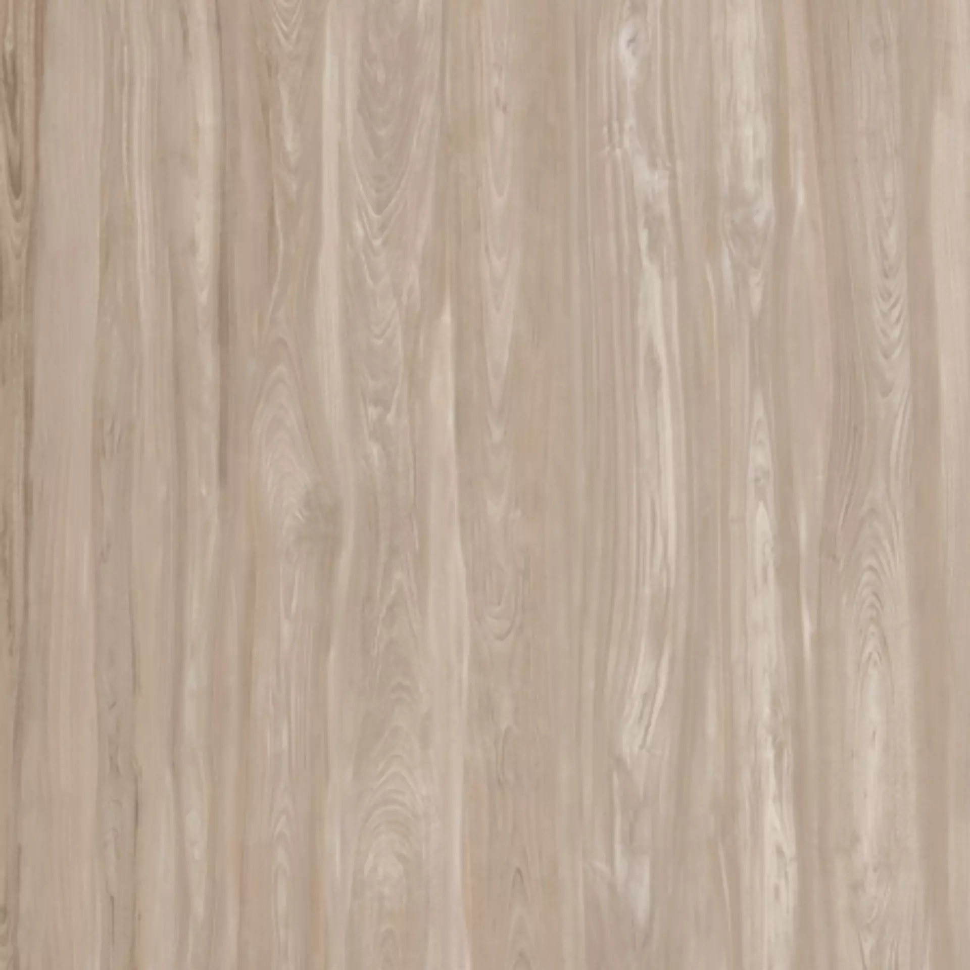 Casalgrande Class Wood Dove Grey Naturale – Matt Dove Grey 10460266 natur matt 60x120cm rektifiziert 9mm
