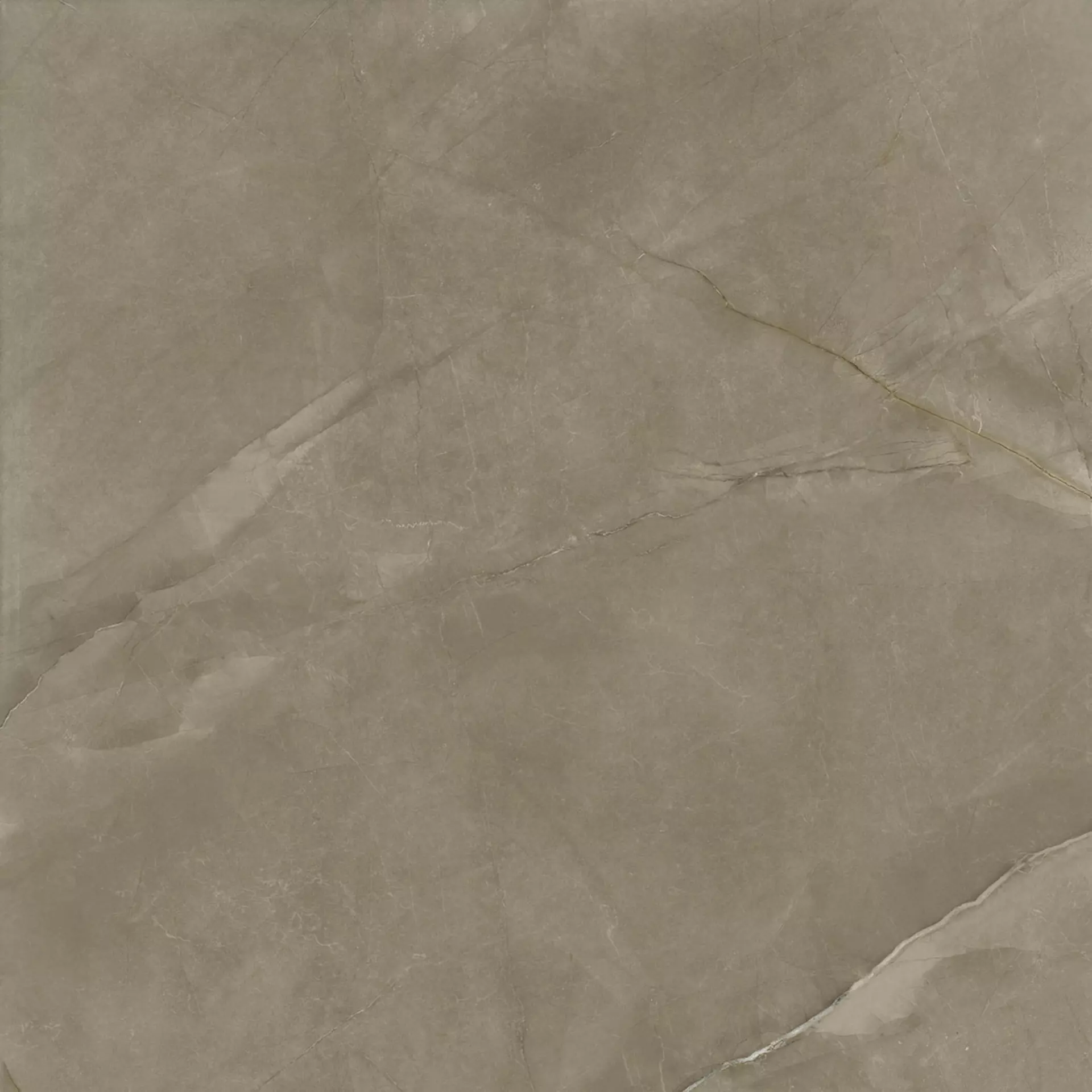MGM Lux Taupe Levigato LUXTAULEV6060 60x60cm rectified 10mm