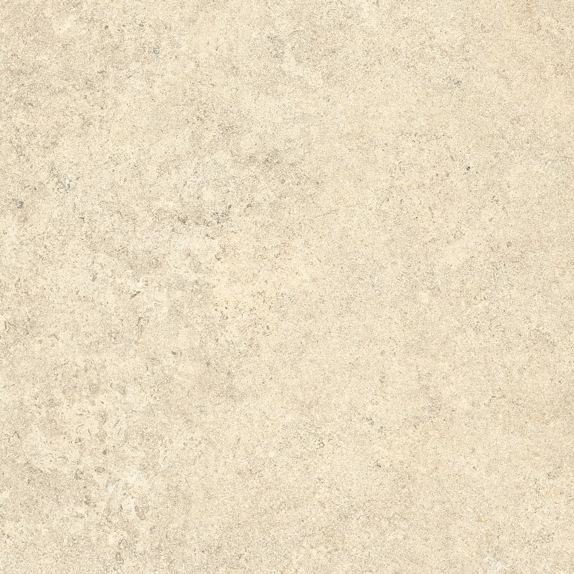 Cottodeste Pura Ivory Rolled Protect EGWPR15 60x60cm rectified 14mm