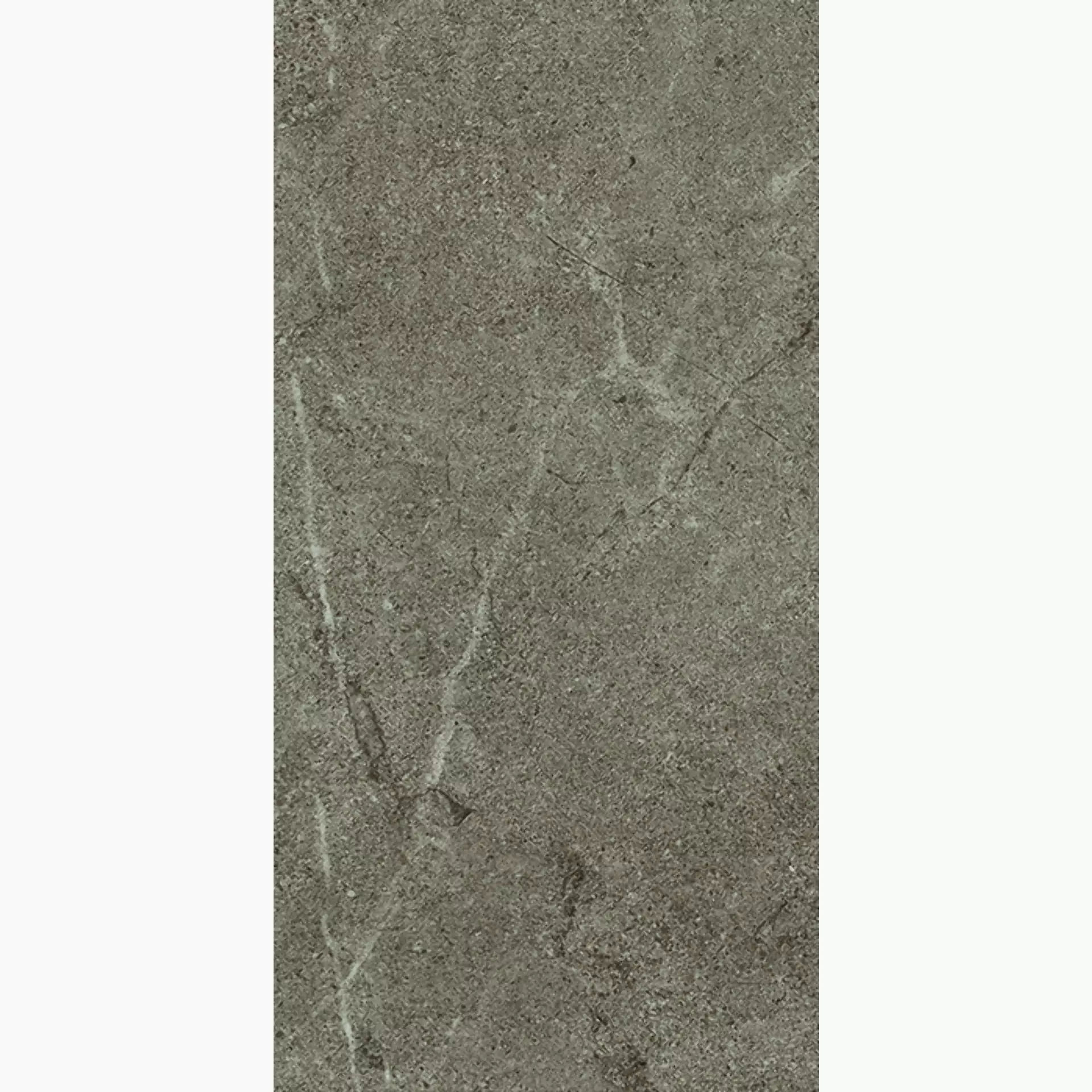 Cercom Archistone Taupe Naturale 1081727 60x120cm rectified 9,5mm