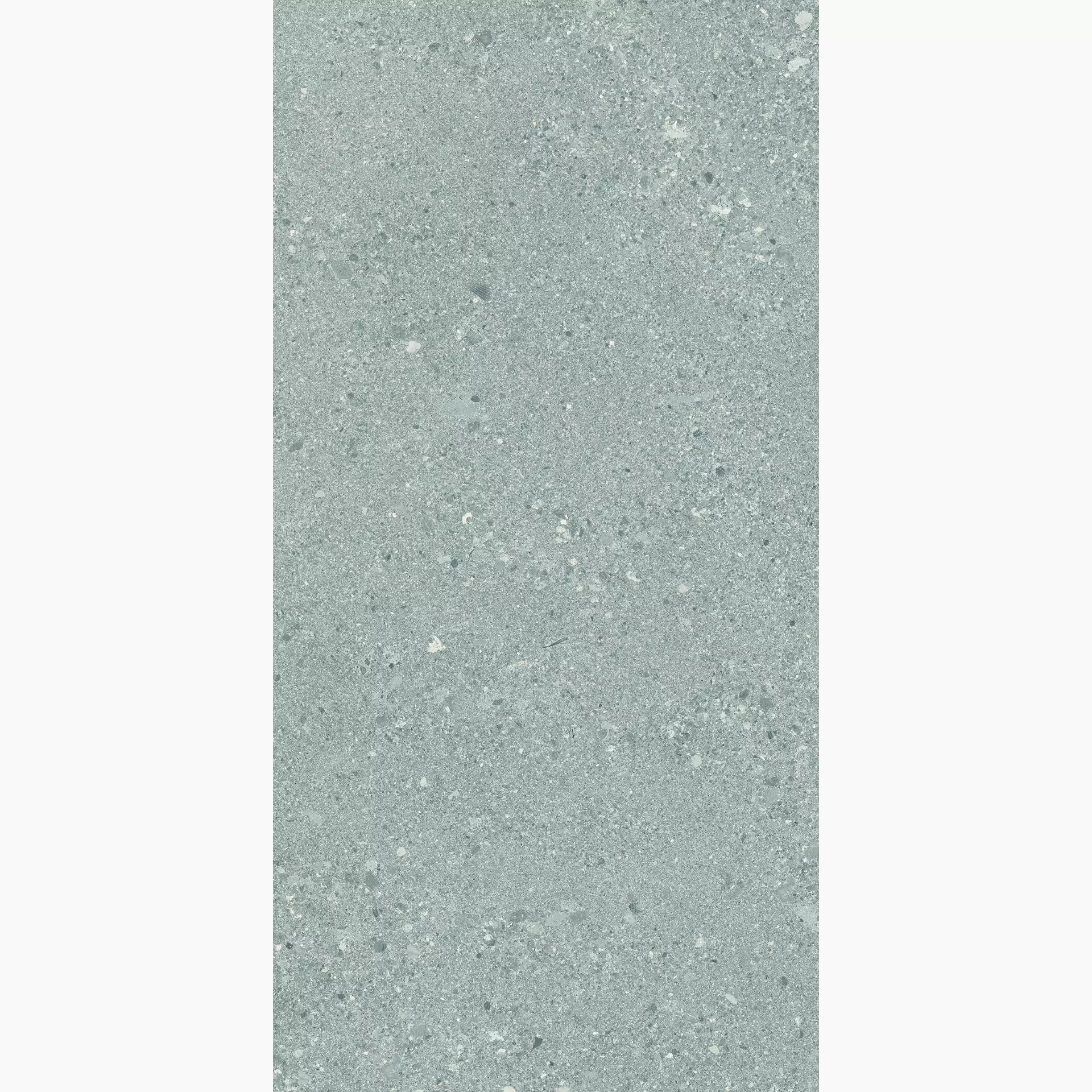 Ergon Grain Stone Rough Grain Grey Naturale E0CP 30x60cm rectified 9,5mm