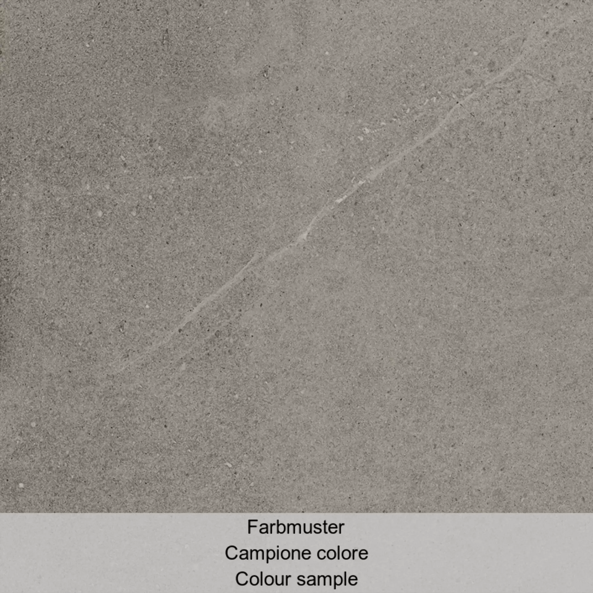 Cottodeste Limestone Slate Blazed Protect Slate EGGLS93 antibakteriell geflammt 90x90cm rektifiziert 20mm