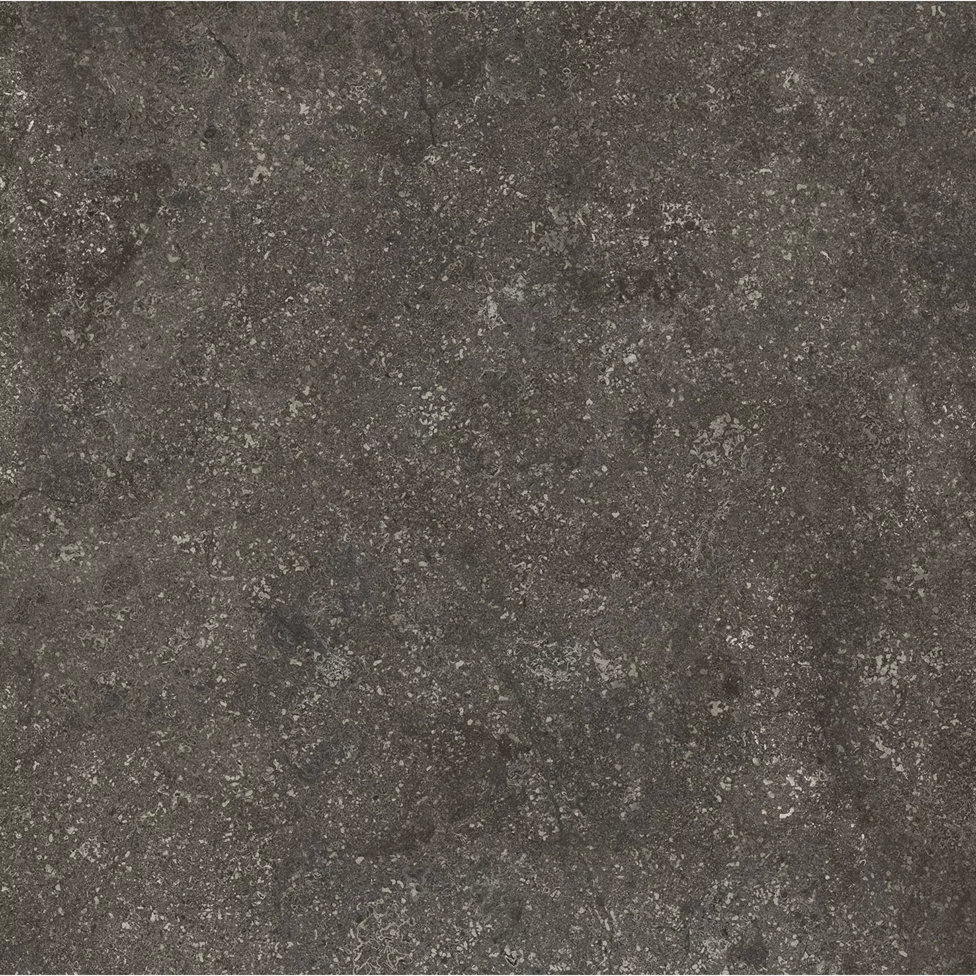 Florim Stone Life Graphit Naturale – Matt Graphit 778702 matt natur 60x60cm rektifiziert 9mm