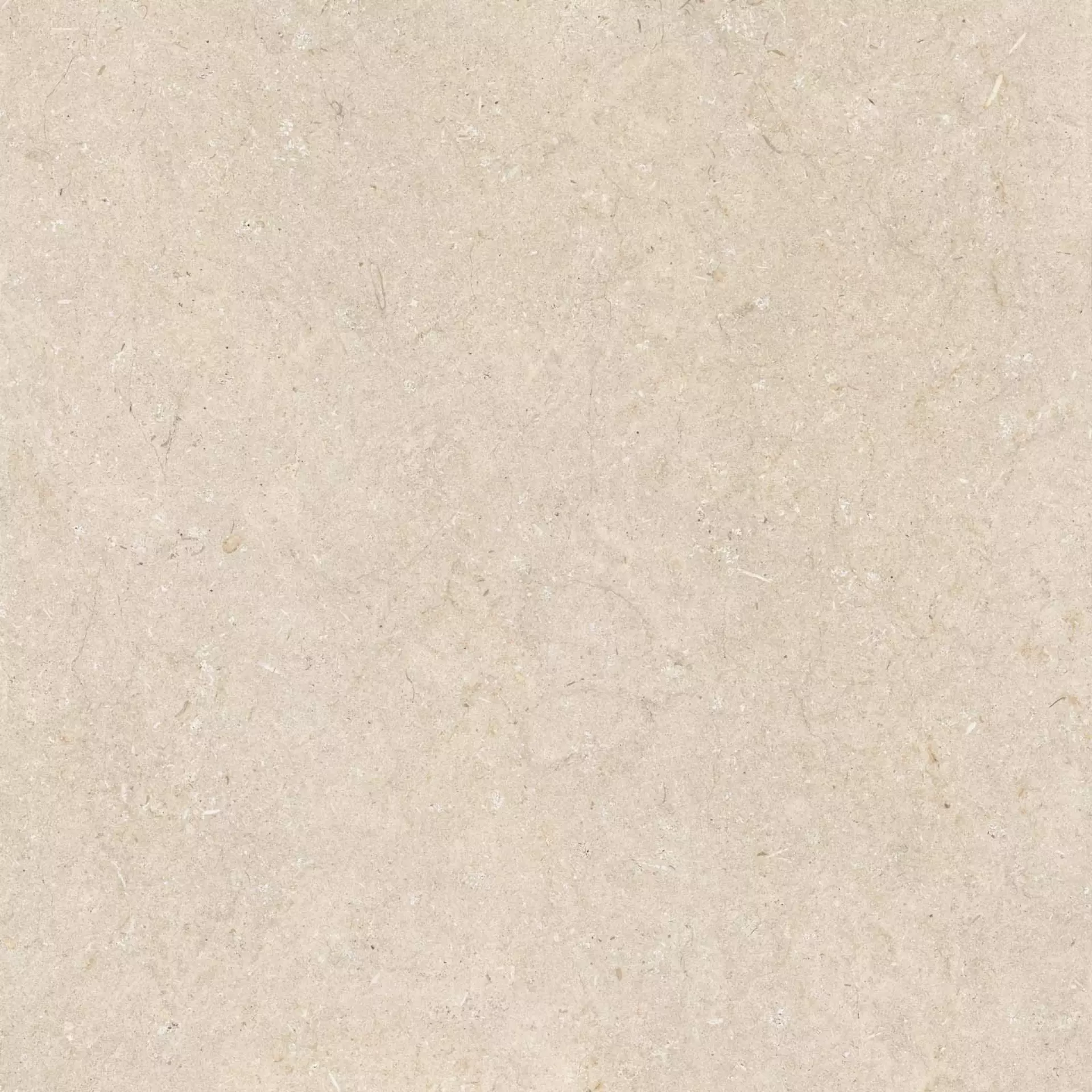 ABK Poetry Stone Trani Beige Naturale PF60010536 120x120cm rectified 8,5mm