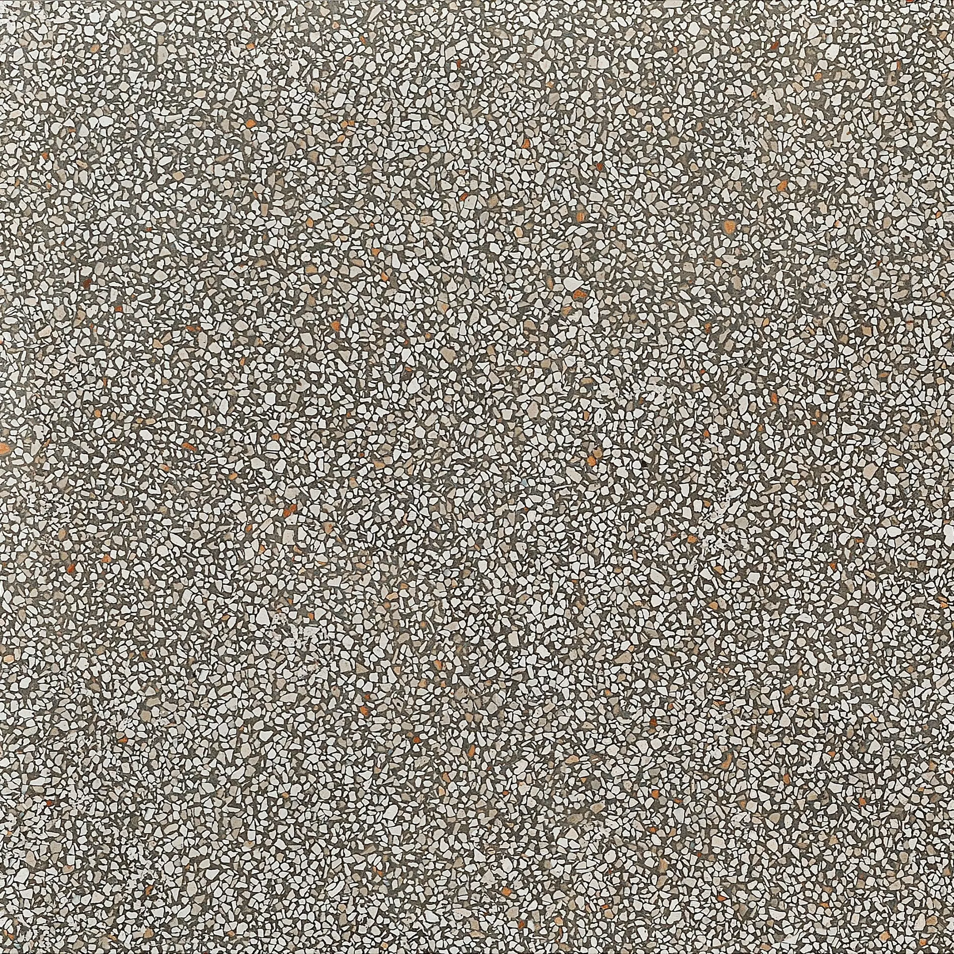Coem Terrazzo Beton Mini Lucidato TZ600LR 60x60cm rectified 10mm