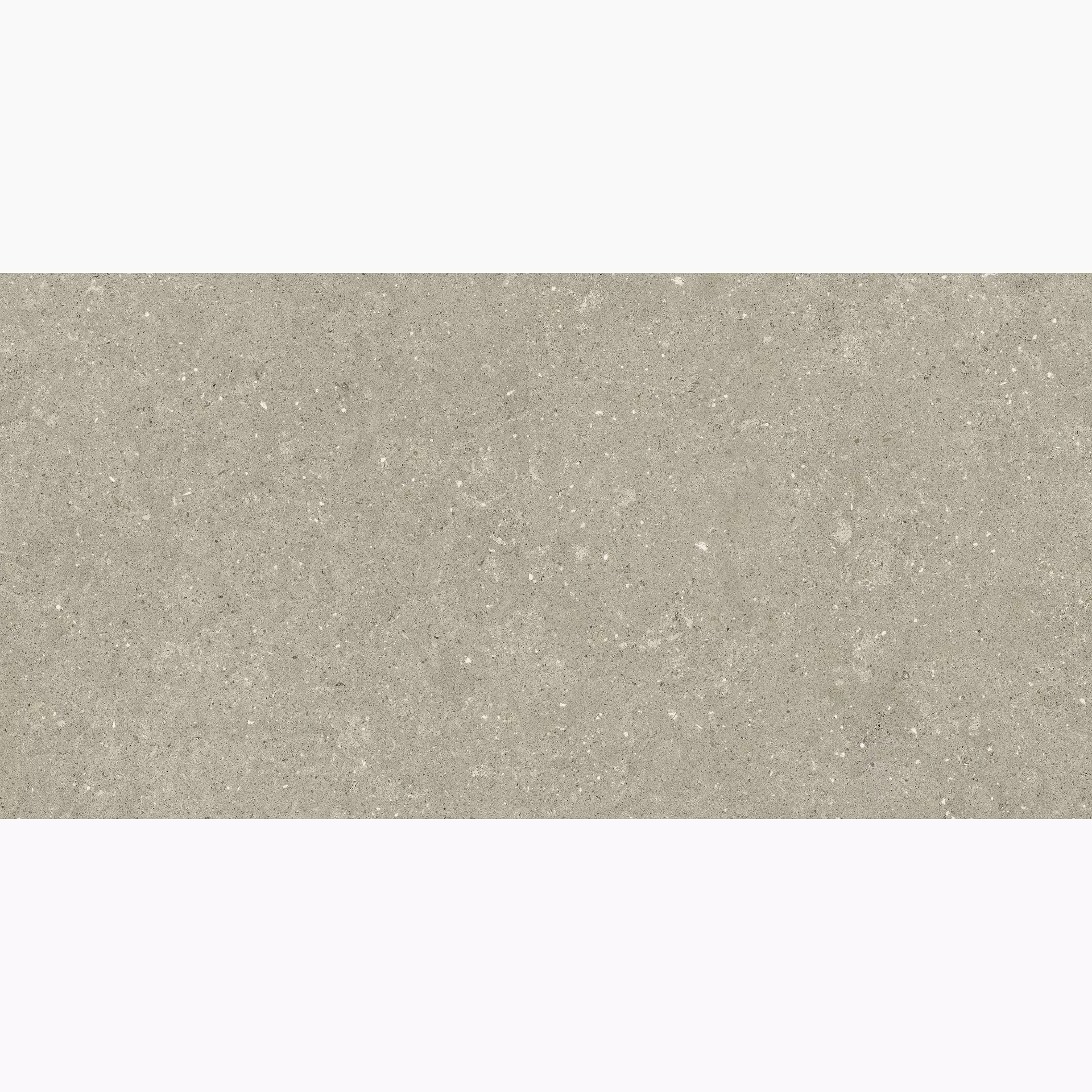 Del Conca Hwd Wild Greige Hwd Naturale GCWD11R 60x120cm rectified 8,5mm