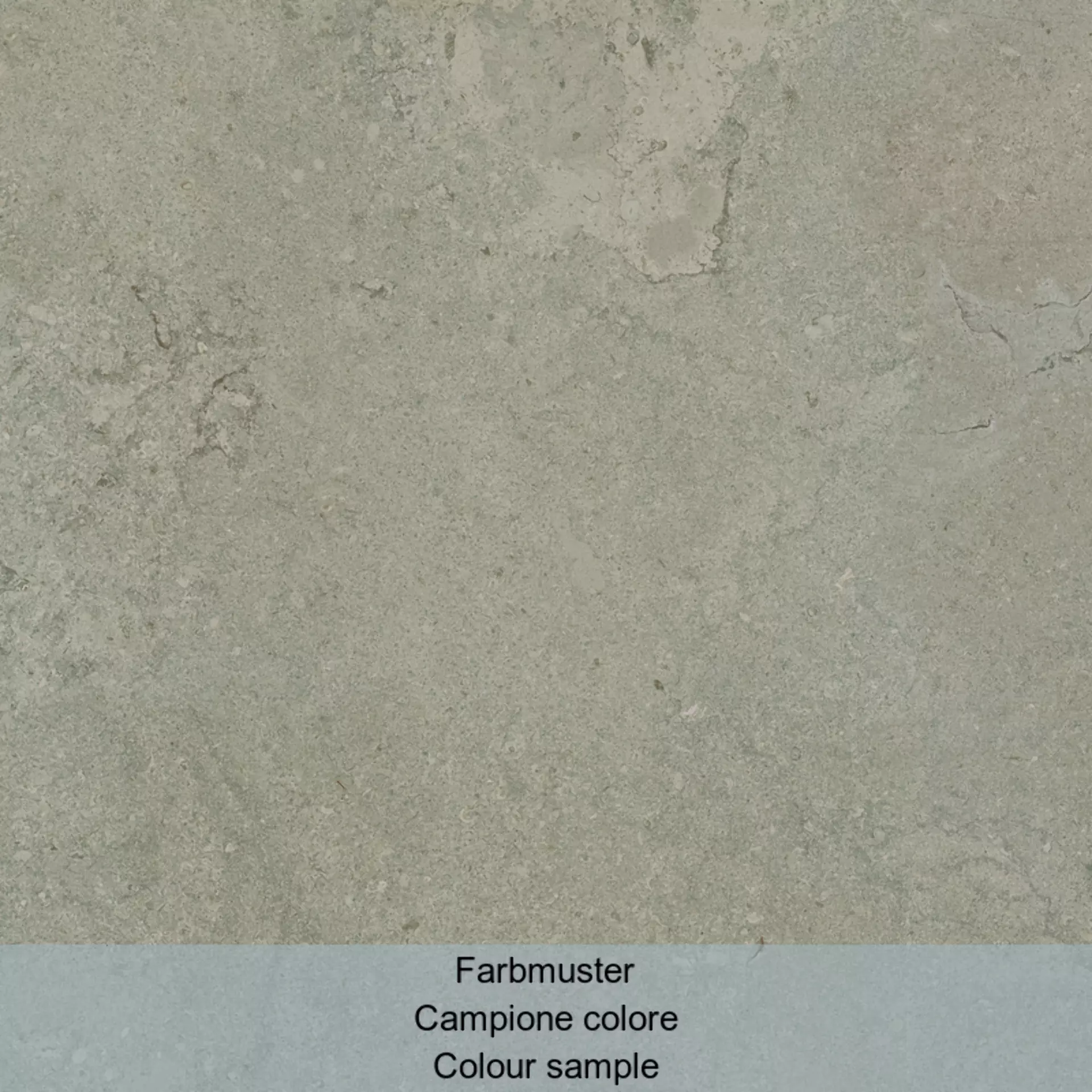 Casalgrande Chalon Kaki Naturale – Matt 1950051 60x60cm rectified 10mm