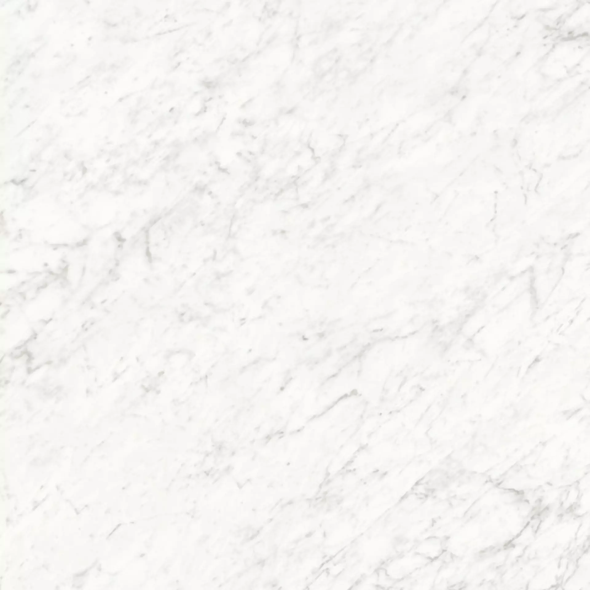 Ariostea Marmi Classici Bianco Carrara Lucidato Bianco Carrara PL6555 poliert 60x60cm 8mm