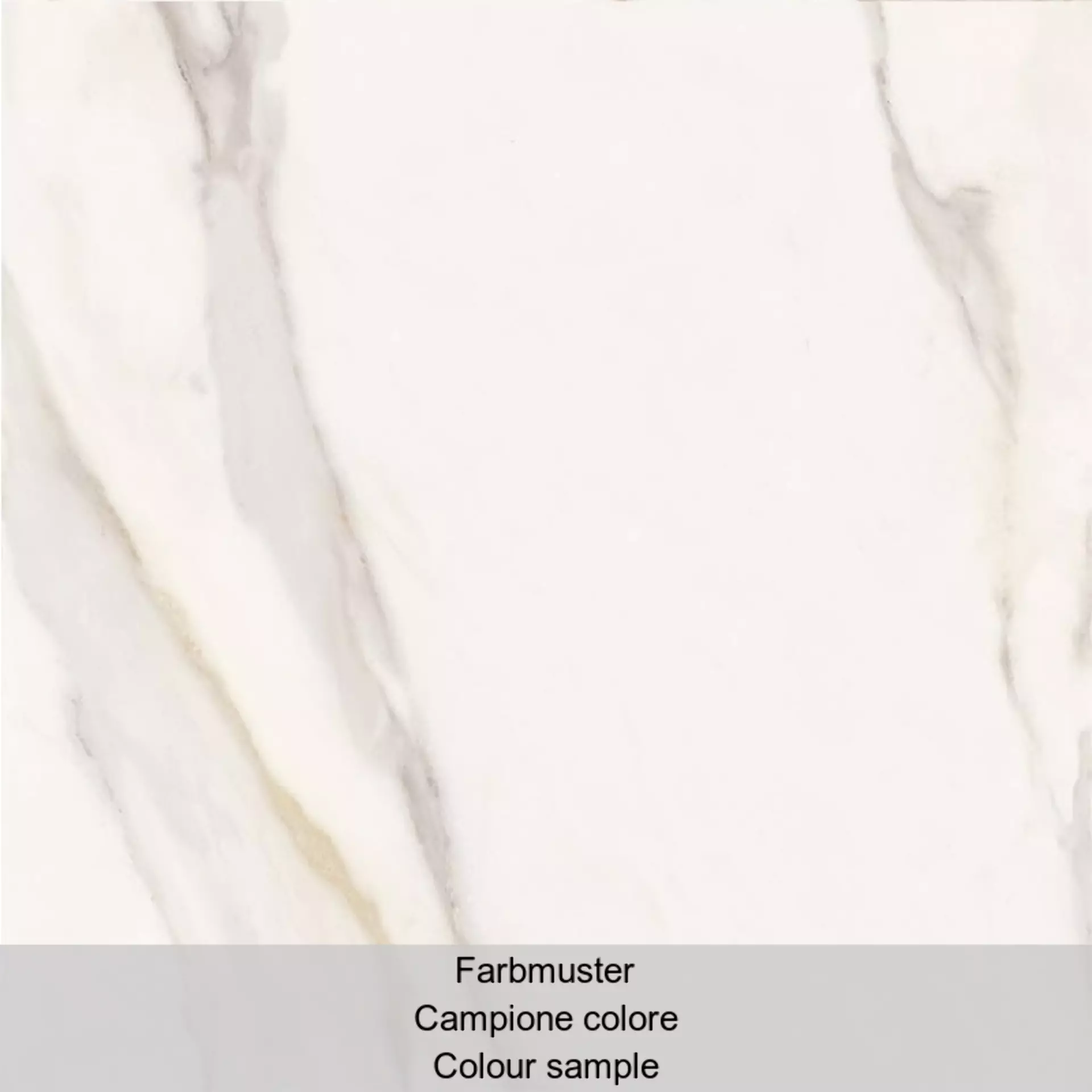Supergres Purity Marbl Calacatta Lux 60CX 60x60cm rectified 9mm