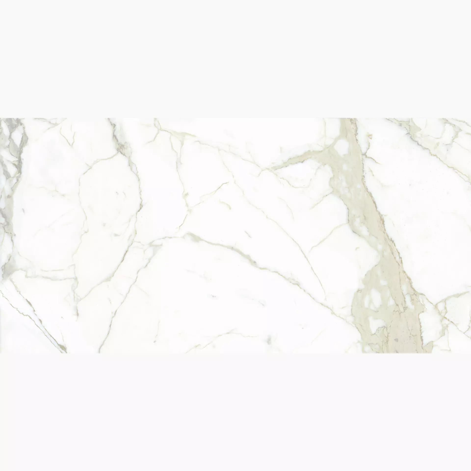 Maxfine Marmi White Calacatta Lucidato L175332MF6 75x150cm rektifiziert 6mm