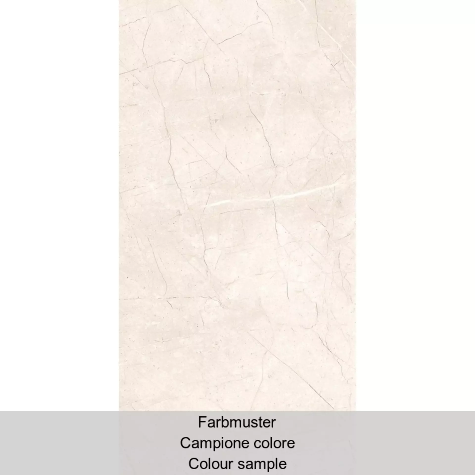 Cerdomus Mexicana White Levigato 73615 30x60cm rectified 9,5mm