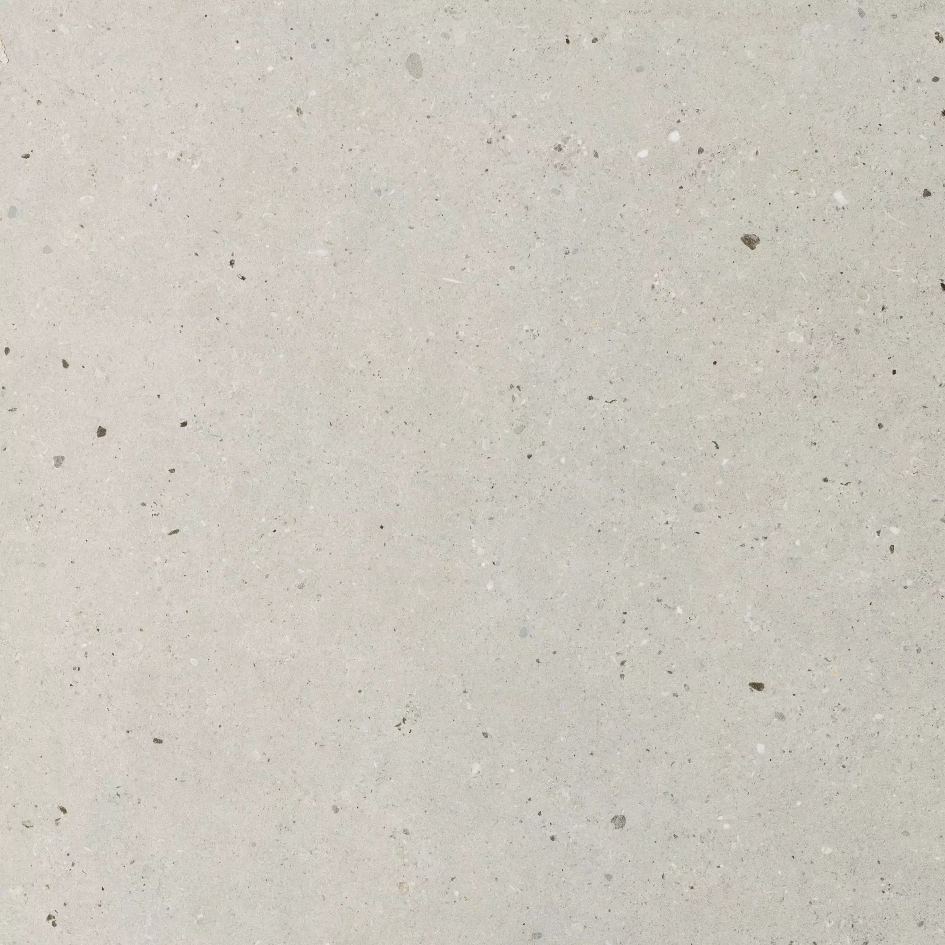 Bodenfliese,Wandfliese Italgraniti Silver Grain Grey Naturale – Matt Grey SI0312 matt natur 120x120cm rektifiziert