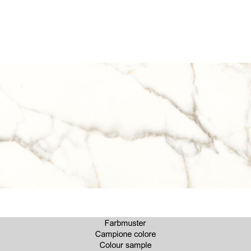 Panaria Trilogy Calacatta White Antibacterial - Lux PG-TY60 30x60cm rectified 9,5mm