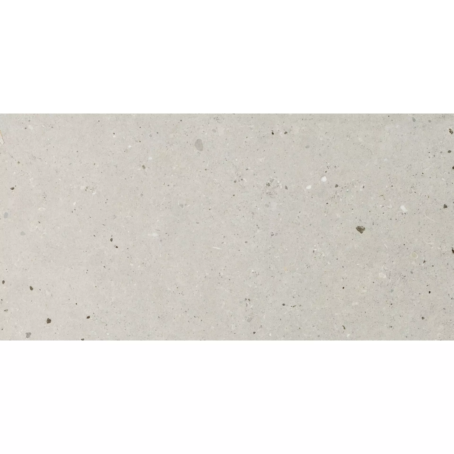 Bodenfliese,Wandfliese Italgraniti Silver Grain Grey Naturale – Matt Grey SI03BA matt natur 60x120cm rektifiziert