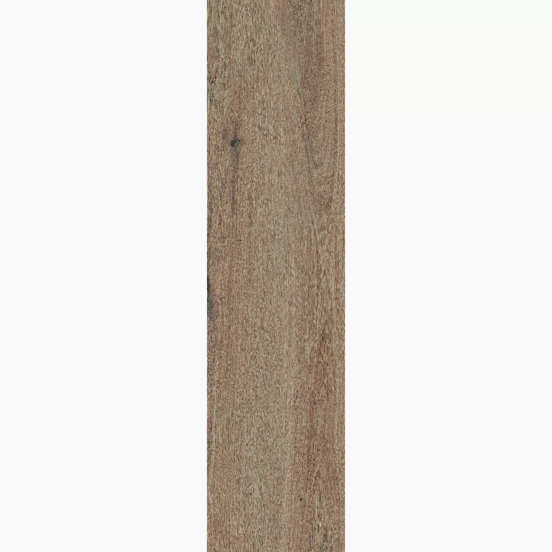 Bodenfliese Cercom Briccole Miele Naturale Miele 1077703 natur 15x60cm rektifiziert 9,5mm