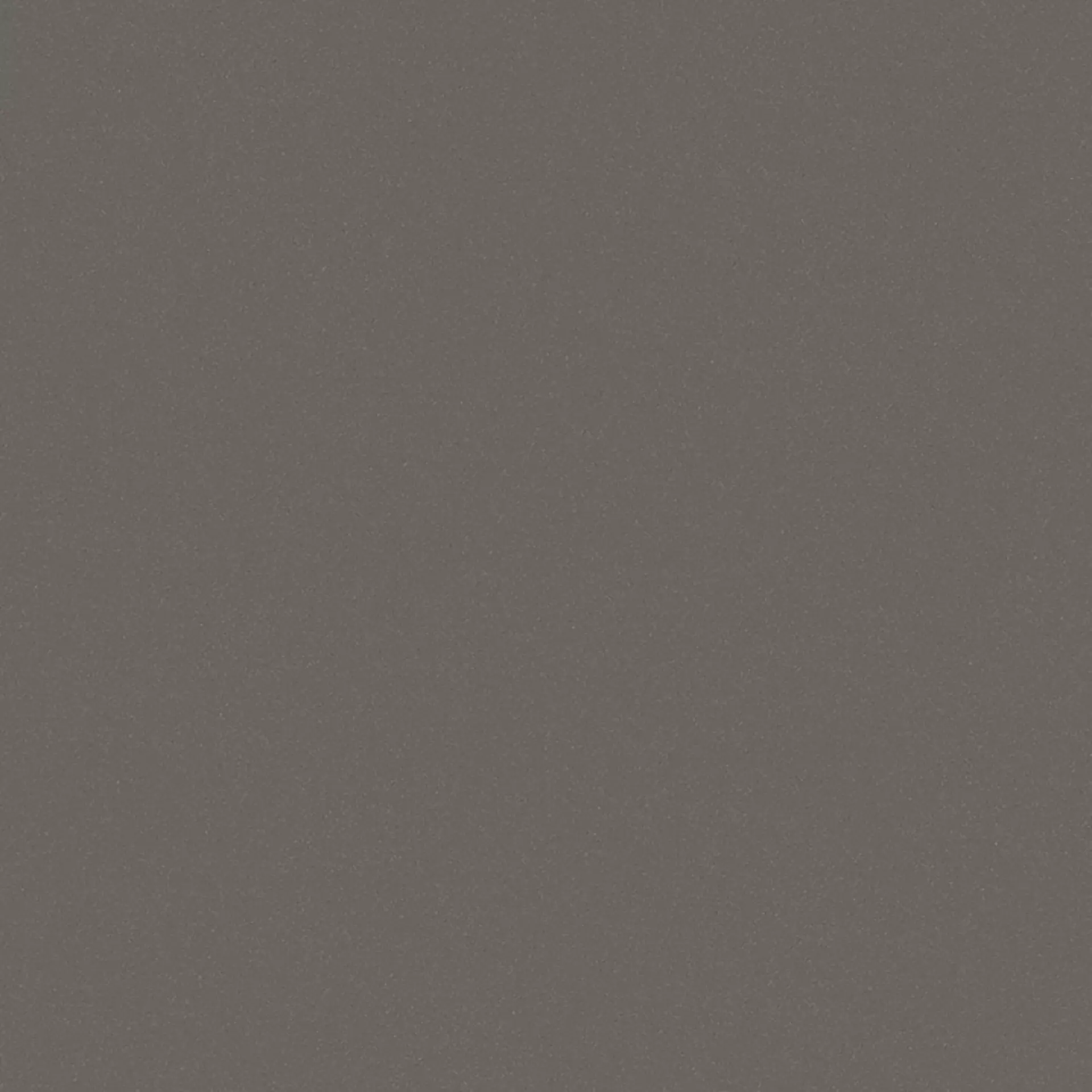 Wandfliese,Bodenfliese Villeroy & Boch Pro Architectura 3.0 Solid Grey Matt Solid Grey 2014-C490 matt 60x60cm 9mm