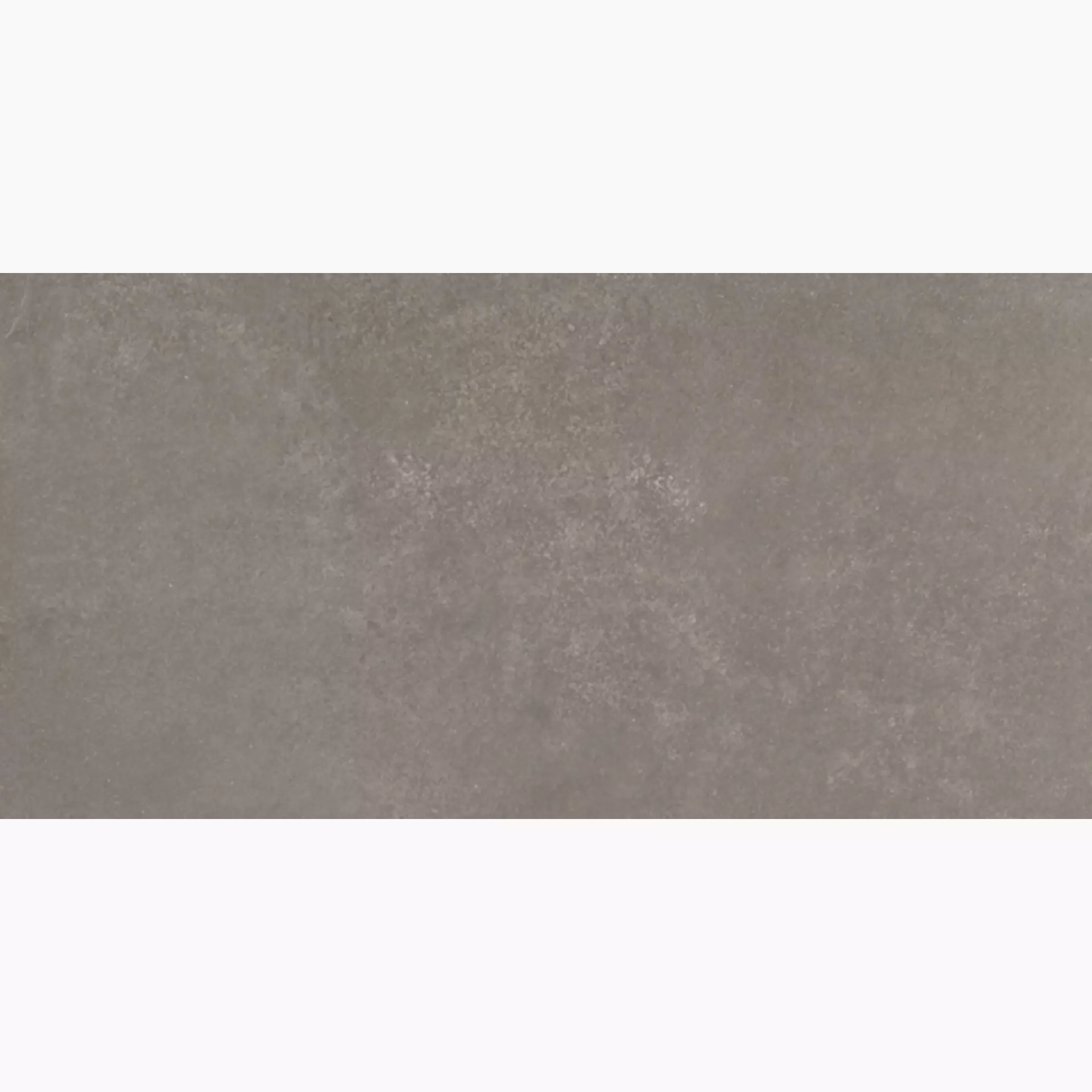 Sichenia Space Taupe 0177806 30x60cm rectified 10mm