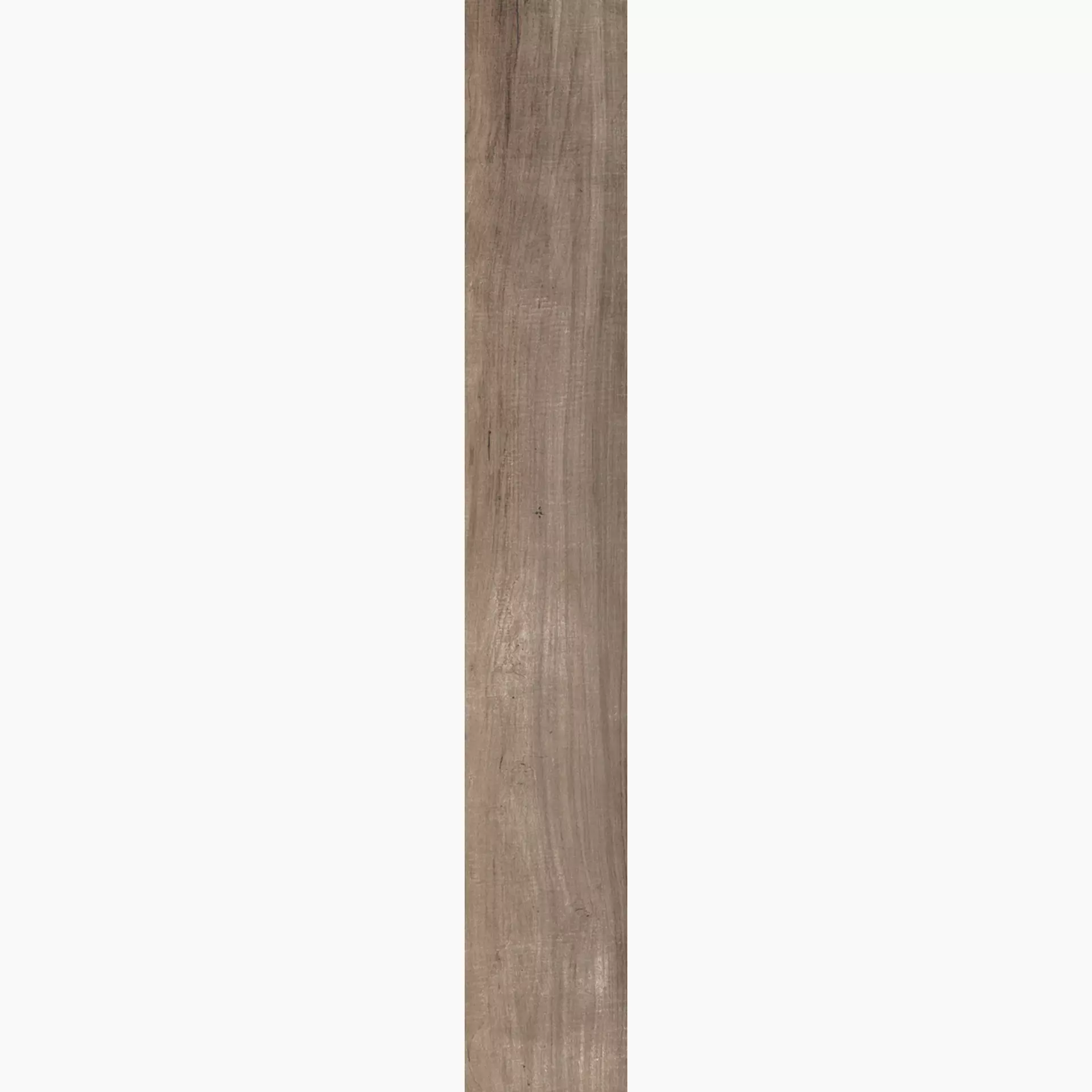 Rondine Aspen Brown Strong J87859 15x100cm 9,5mm