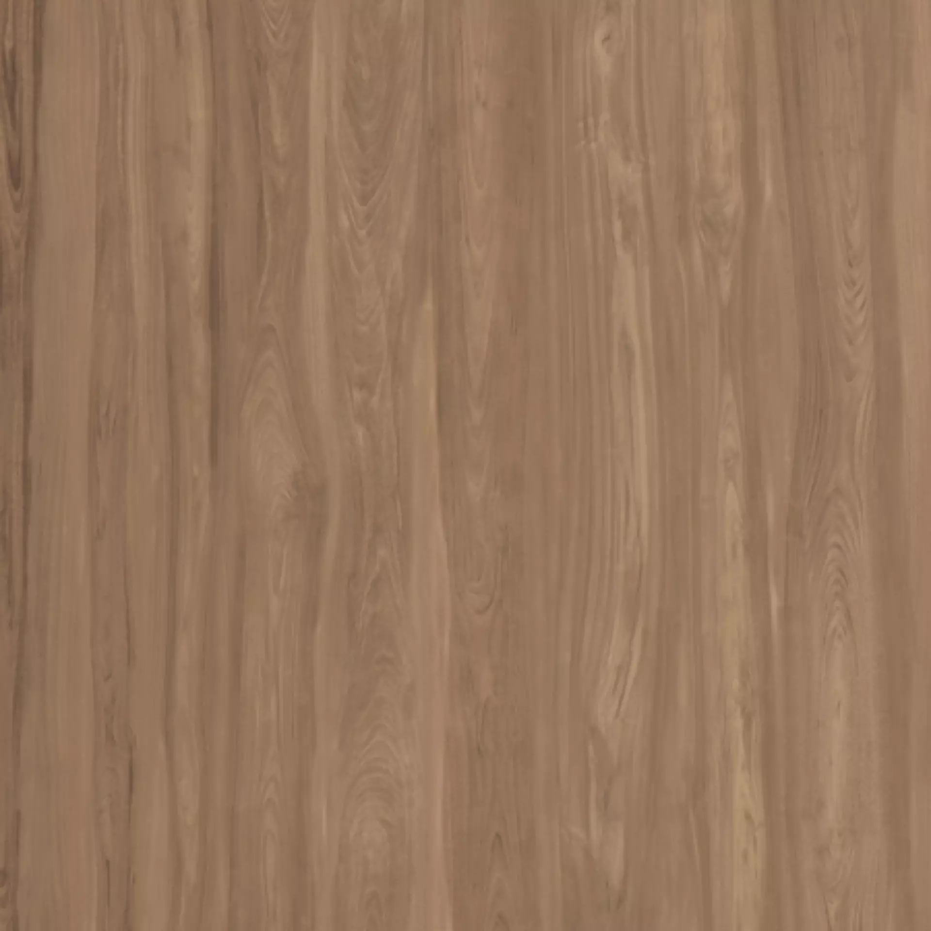 Casalgrande Class Wood Walnut Naturale – Matt Walnut 10460269 natur matt 60x120cm rektifiziert 9mm