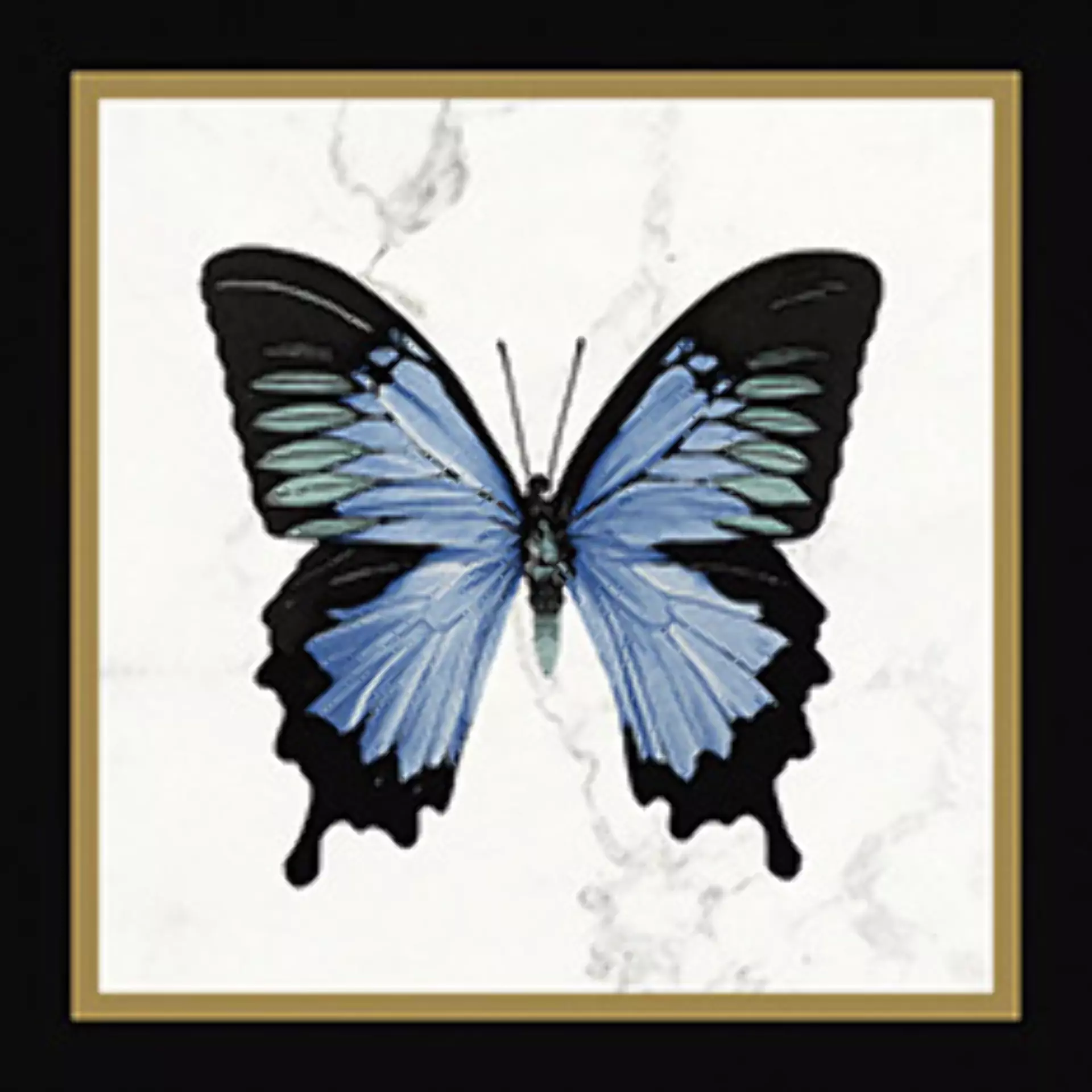 Villeroy & Boch Victorian Black - White Glossy Decor Butterfly 1222-MK0C 20x20cm rectified 10mm