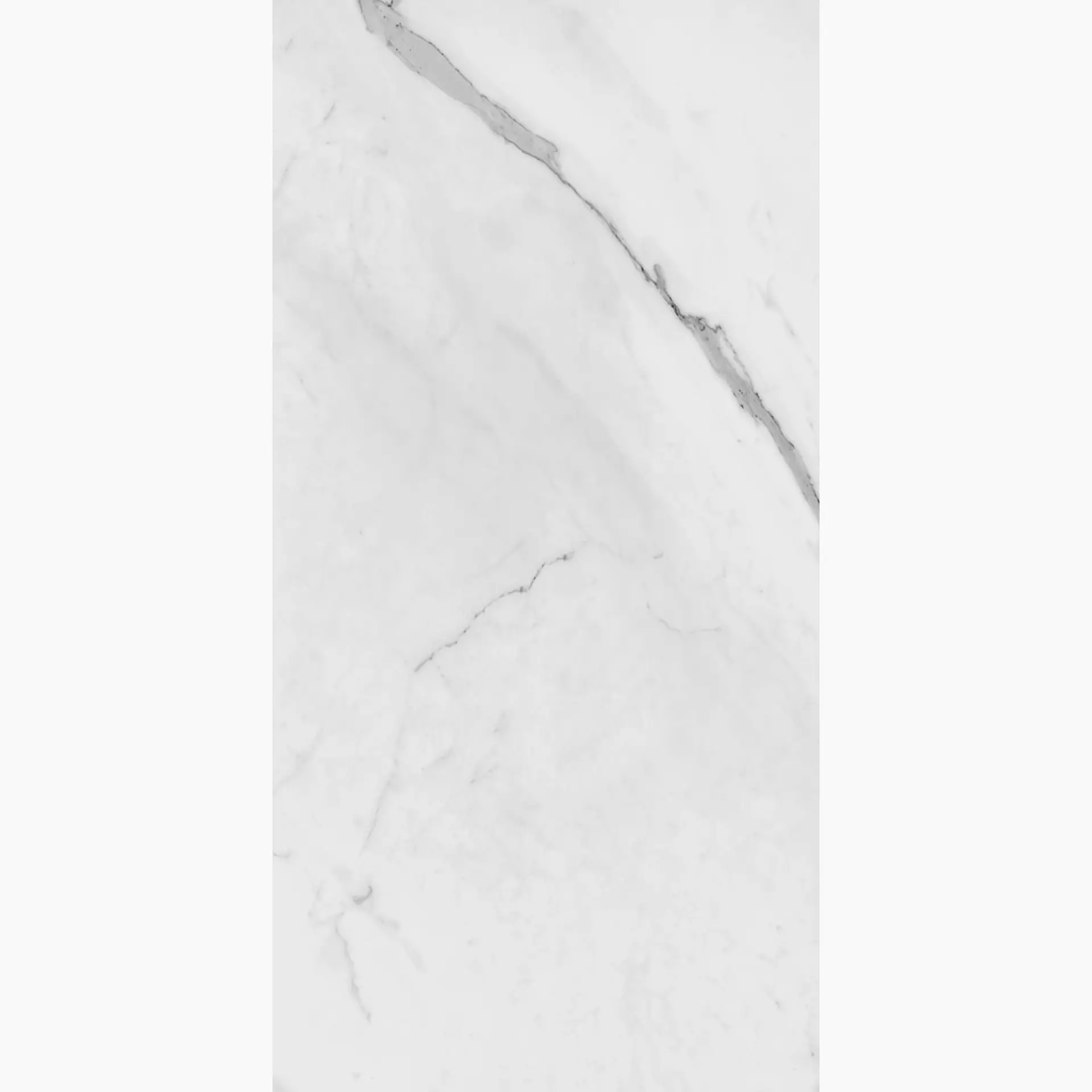 La Faenza Trex3 White Honed Flat Glossy 165307 60x120cm rectified 10mm - TREX 12W LP