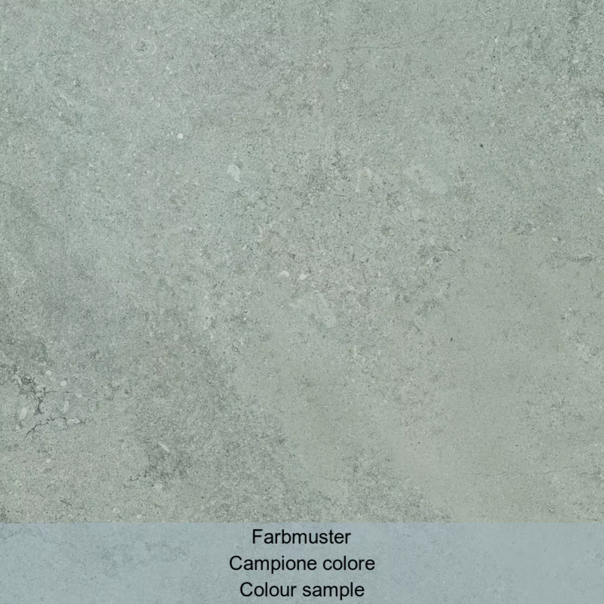 Casalgrande Chalon Grey Naturale – Matt Grey 1950050 natur matt 60x60cm rektifiziert 10mm