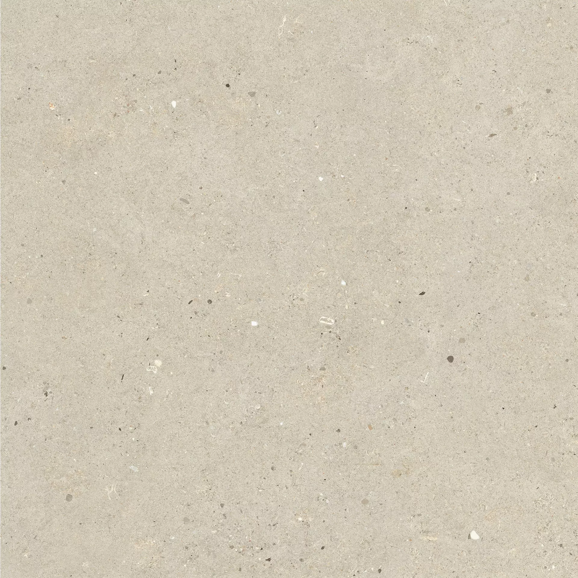 Italgraniti Silver Grain Beige Naturale – Matt SI0268 60x60cm rectified