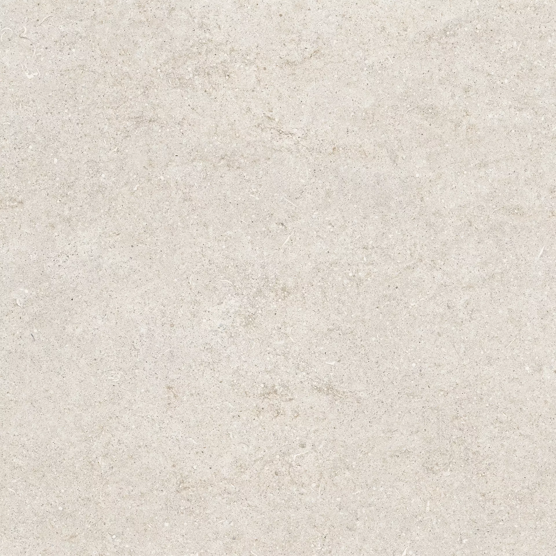FLORIM Creative Design Sensi By Thun White Fossil Matt – Naturale 768359 80x80cm rectified 9mm