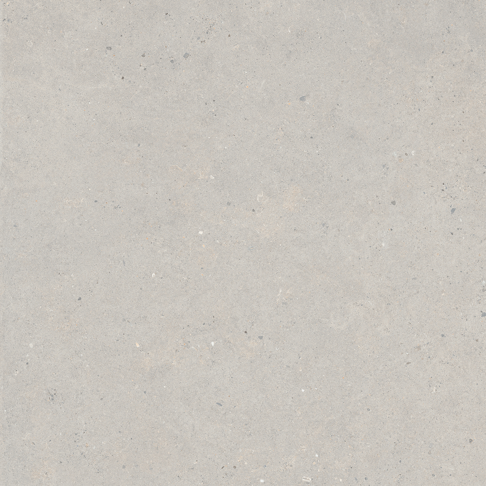 Bodenfliese,Wandfliese Italgraniti Silver Grain Grey Naturale – Matt Grey SI0388 matt natur 80x80cm rektifiziert 9mm