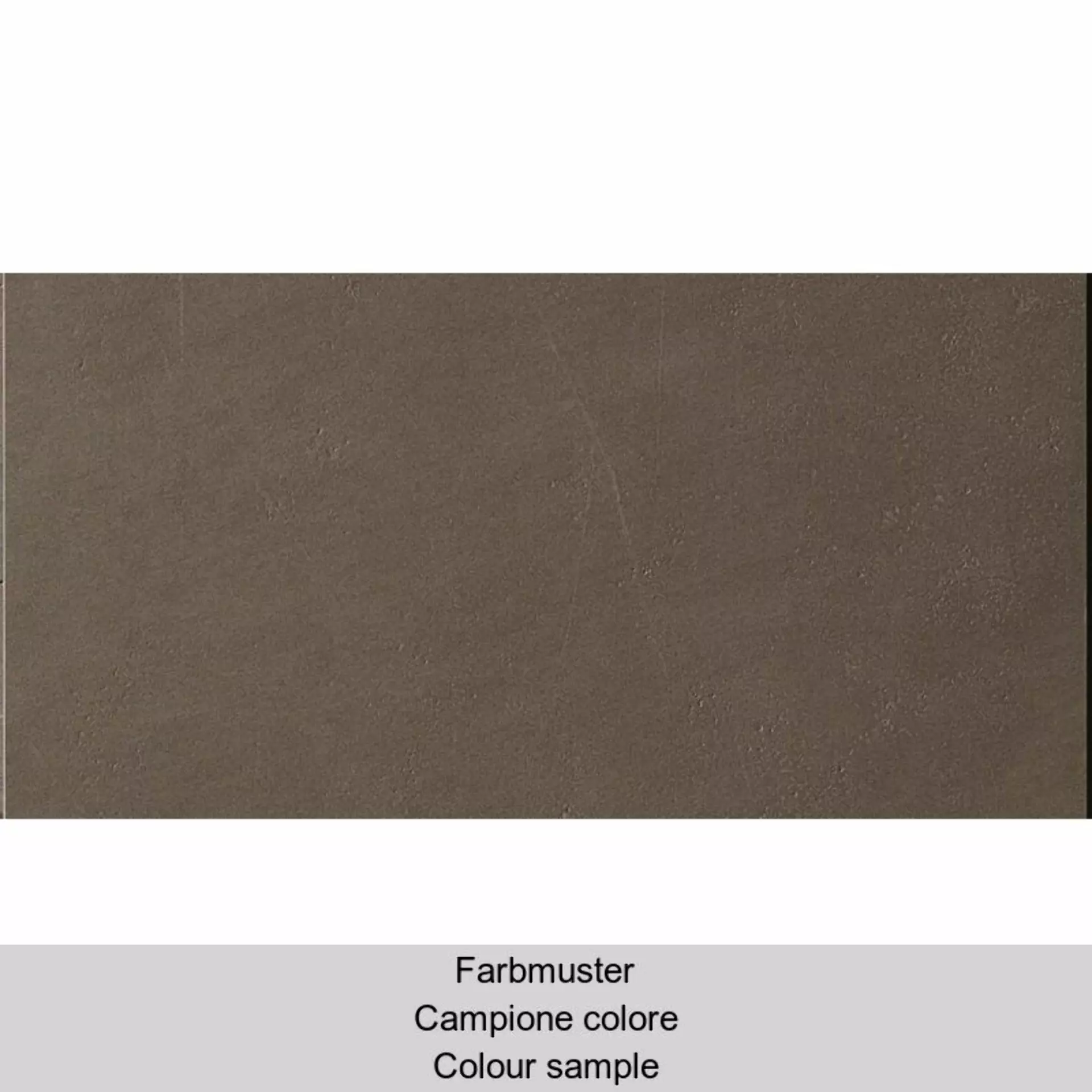 Casalgrande Meteor Brown Naturale – Matt – Antibacterial 7795749 30x60cm rectified 9mm