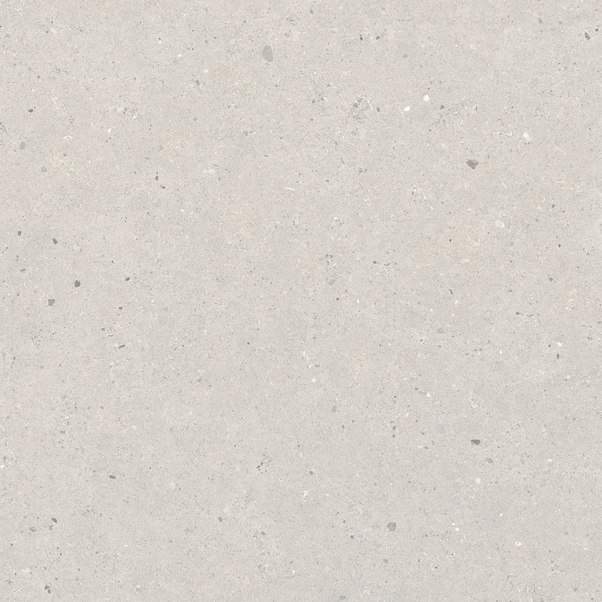 Bodenfliese,Wandfliese Italgraniti Silver Grain Grey Naturale – Matt Grey SI0368 matt natur 60x60cm rektifiziert 9mm