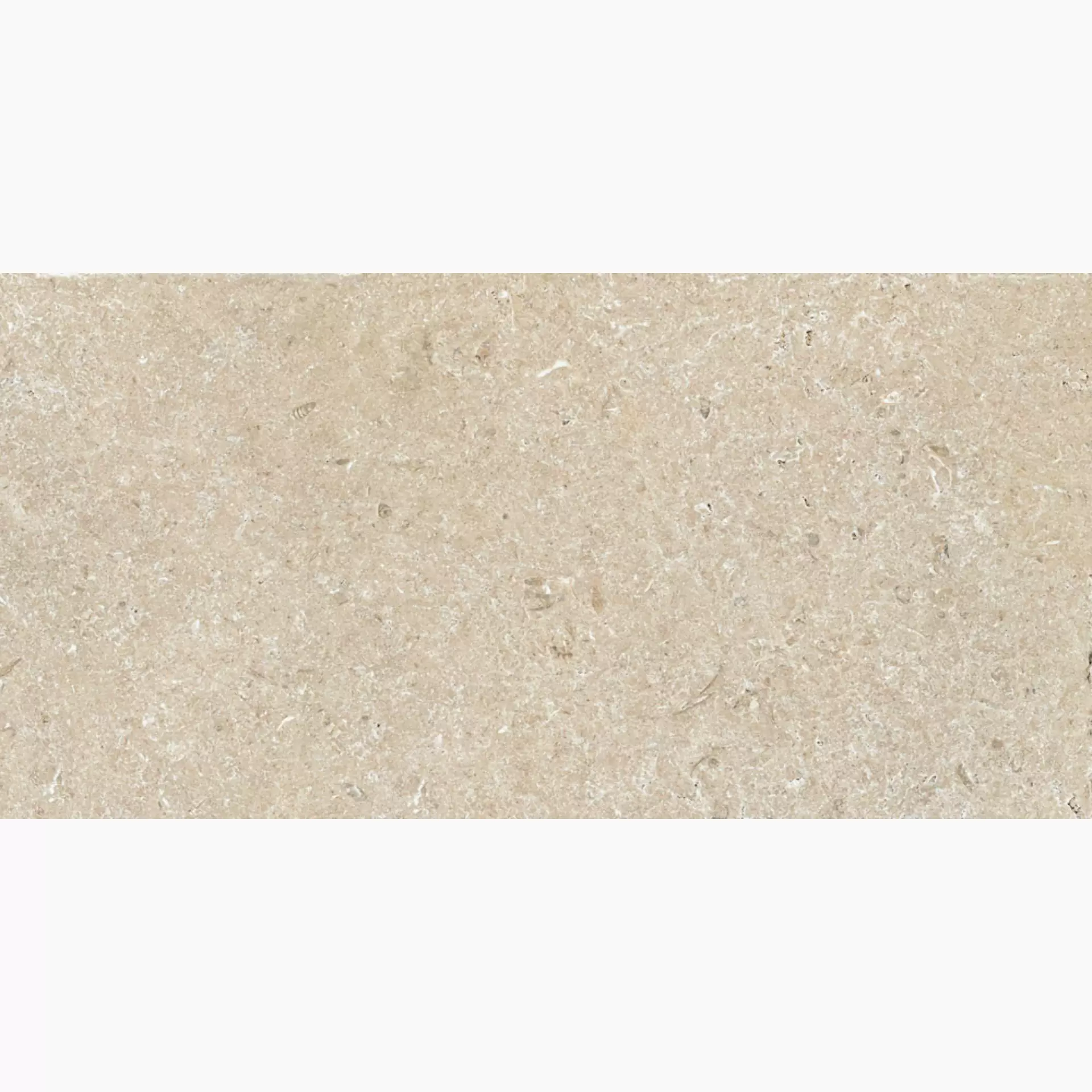 Cottodeste Secret Stone Precious Beige Honed Protect EGXSSX1 60x120cm rectified 14mm