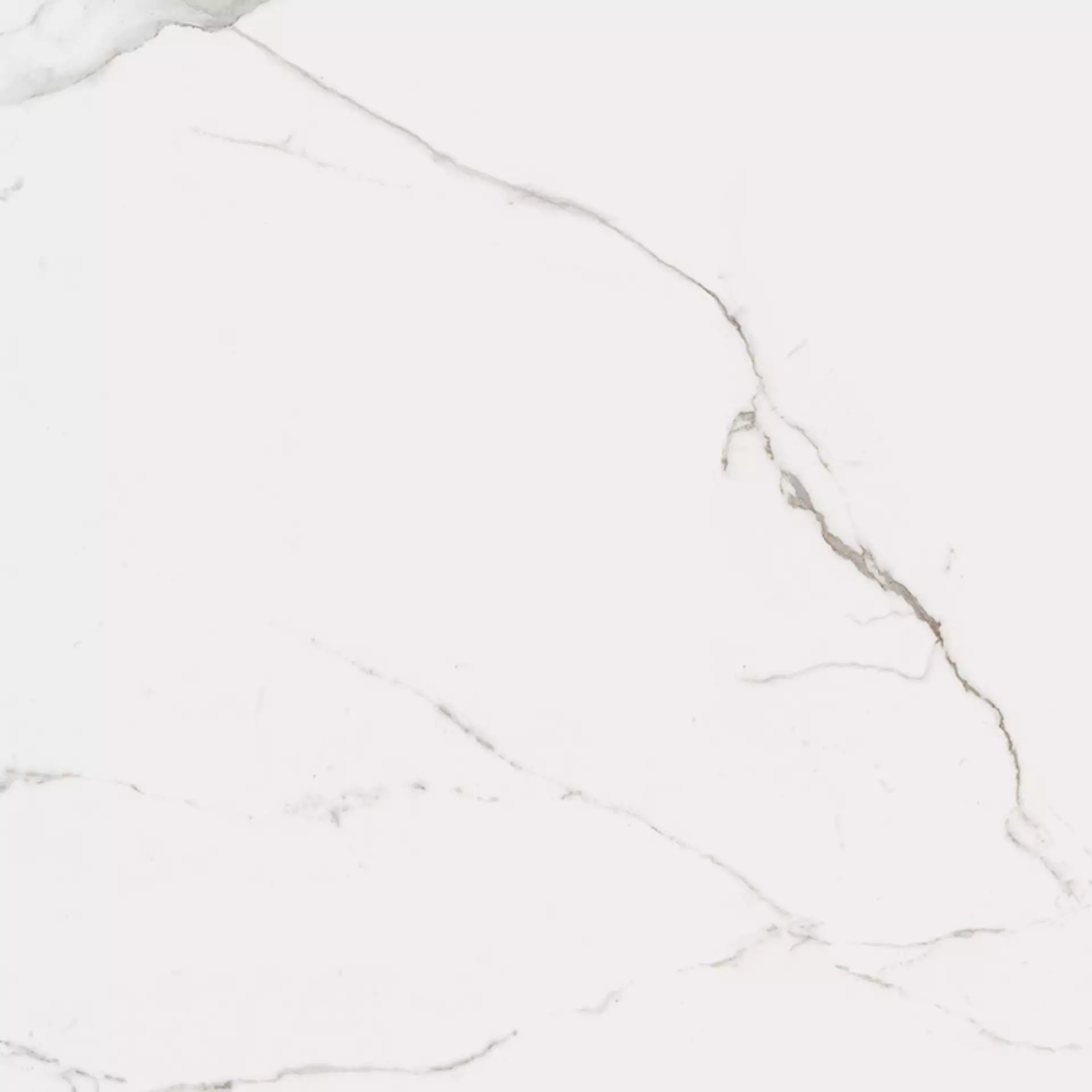 La Faenza Bianco White Honed Flat Glossy 166261 90x90cm rectified 10mm - CAL BO 90 LP