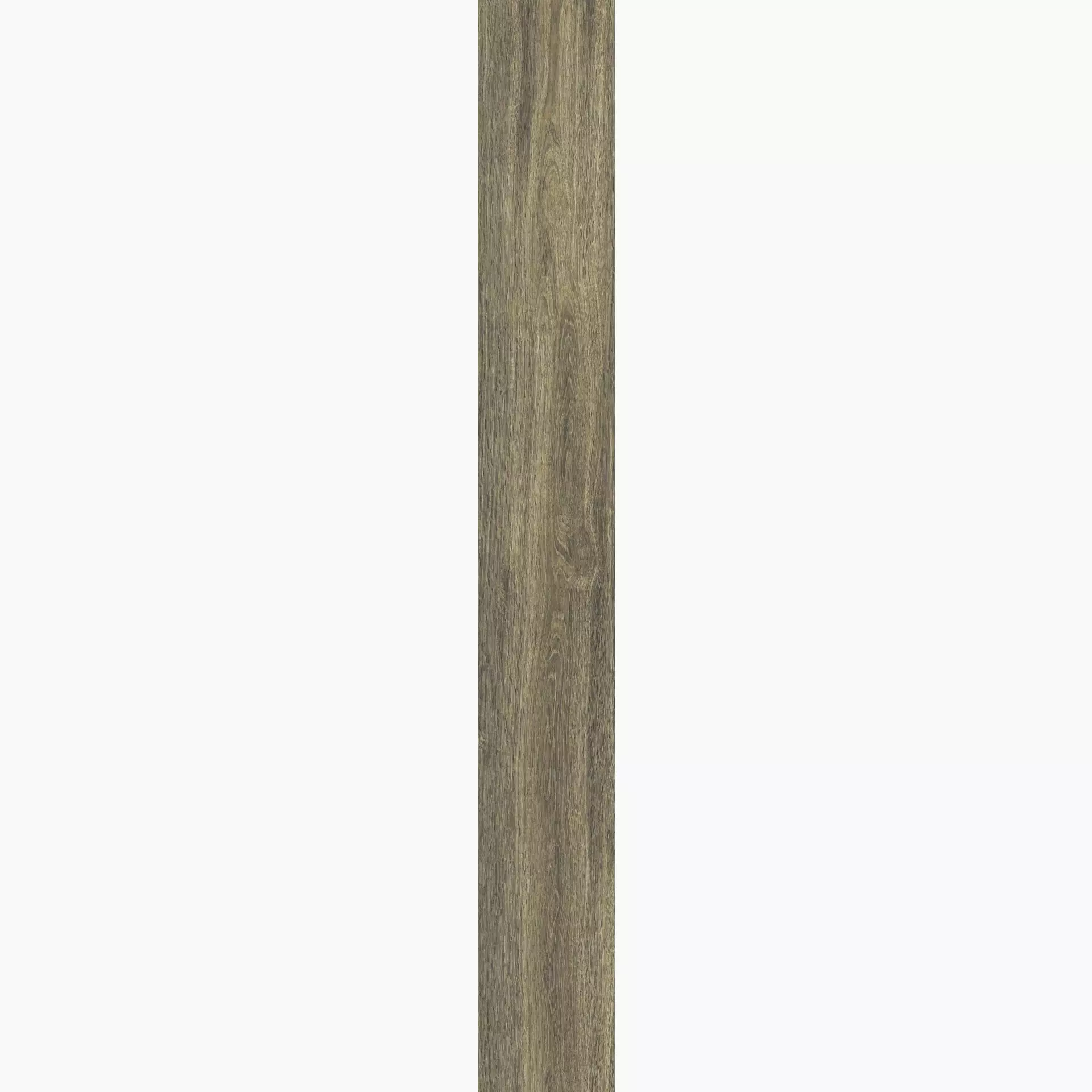 Casalgrande Planks Muschio Naturale – Matt 10930085 30x240cm rectified 6mm