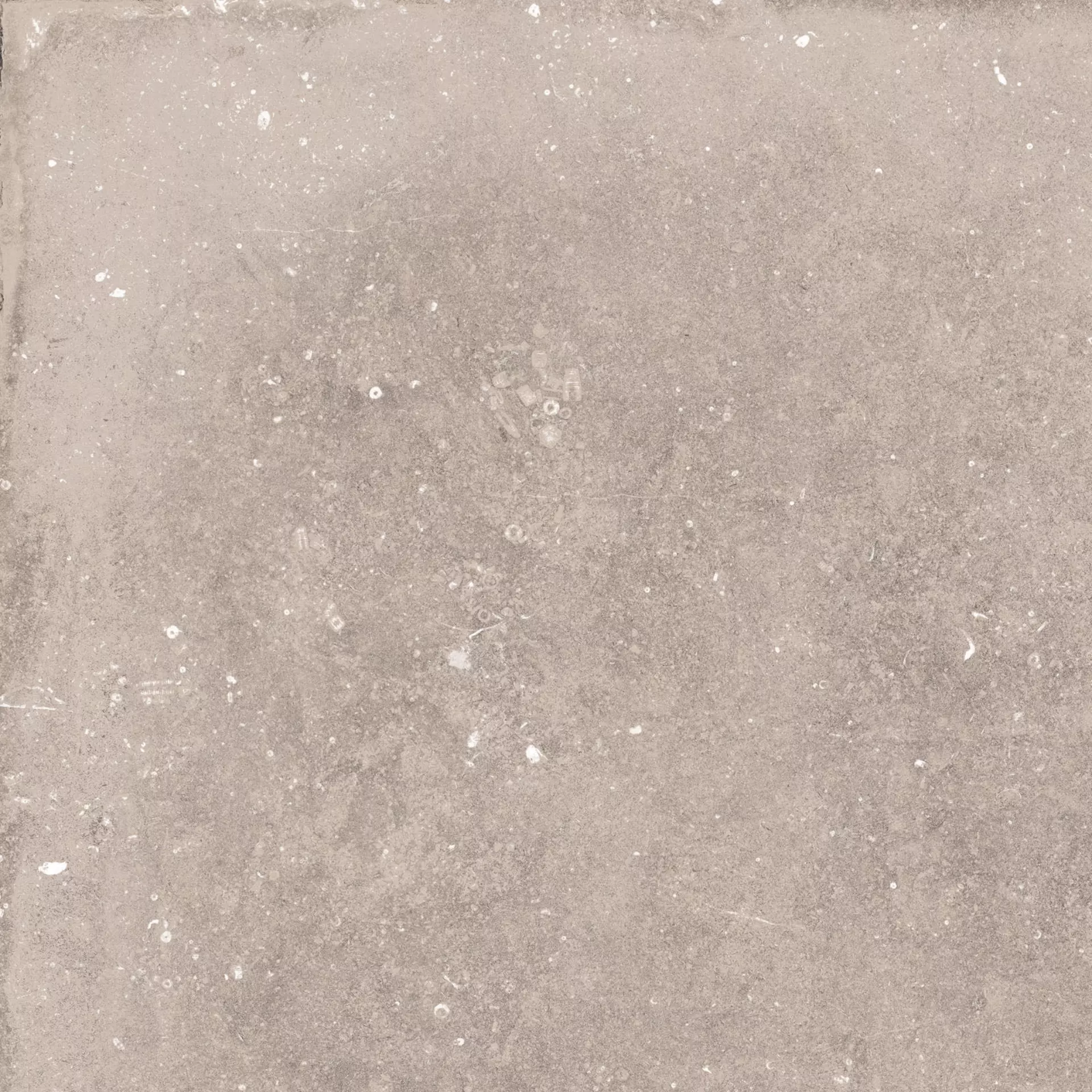 Flaviker Nordik Stone Sand Naturale Sand PF60004161 natur 60x60cm rektifiziert 8,5mm