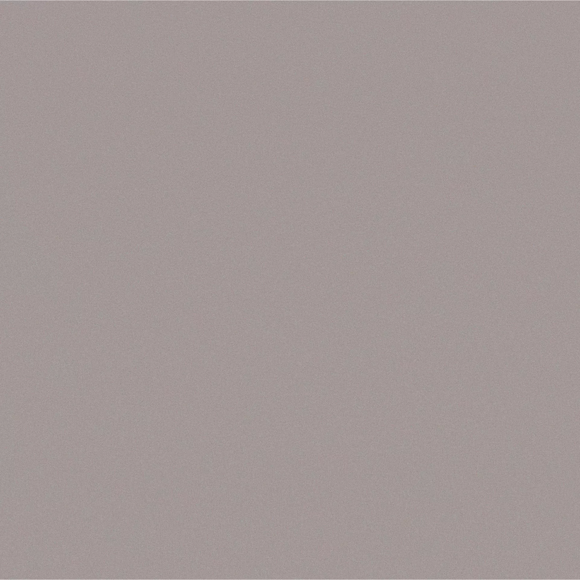 Casalgrande Architecture Light Grey Naturale – Matt 4990054 90x90cm rectified 10mm