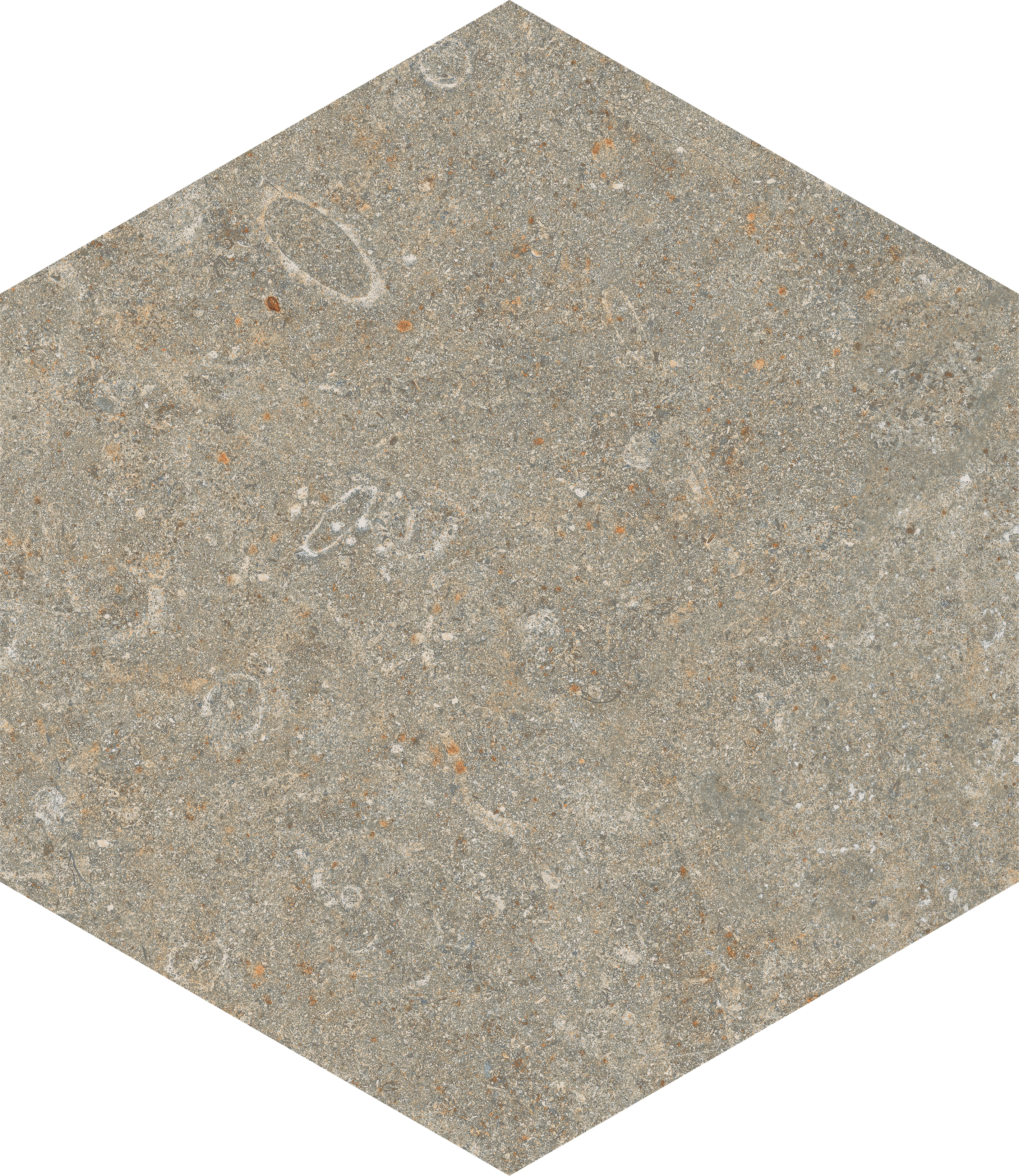 Marca Corona Arkistyle Fossil Naturale – Matt Esagona J159 naturale – matt 21,6x25cm 9mm