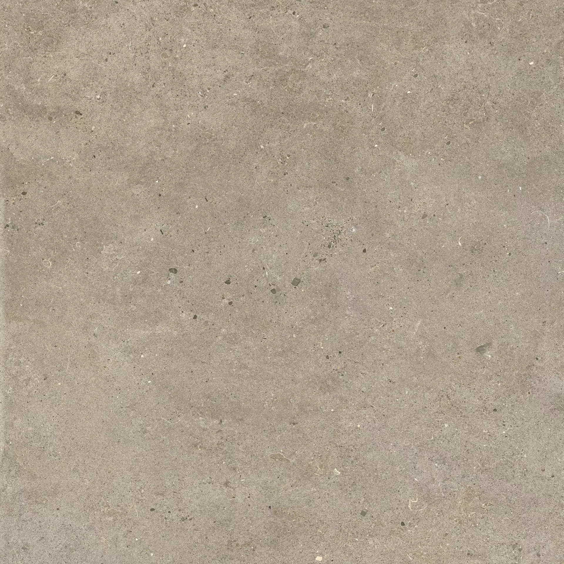 Italgraniti Silver Grain Taupe Naturale – Matt SI0468 60x60cm rectified