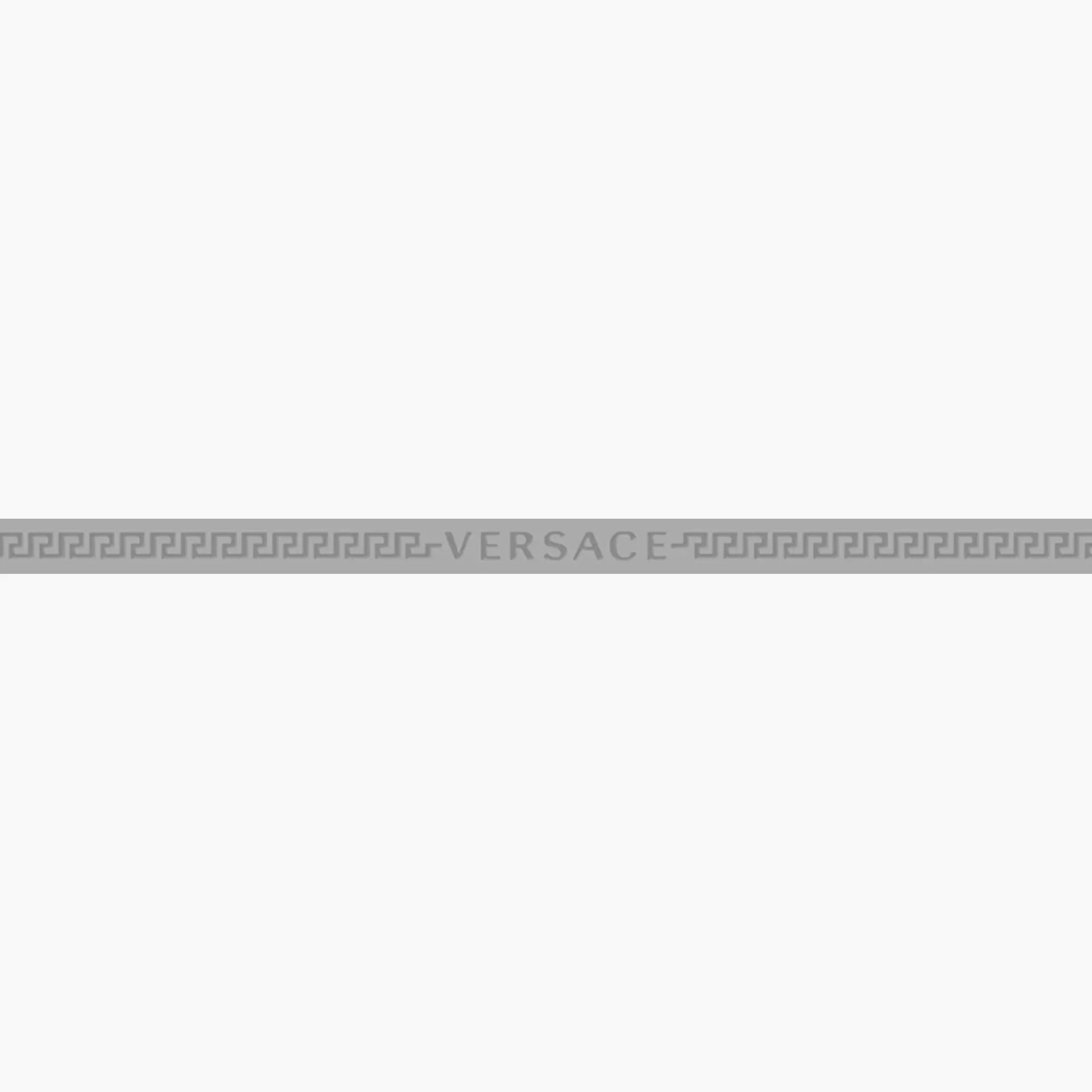 Versace Finiture In Metallo Acciaio Naturale Acciaio G0068951 1x20cm Profilo Mix rektifiziert 10,5mm