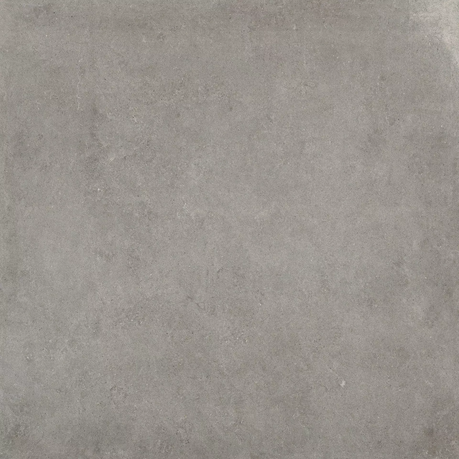 Bodenfliese,Wandfliese Cercom Square Grey Naturale Grey 1065339 natur 120x120cm rektifiziert 9,5mm