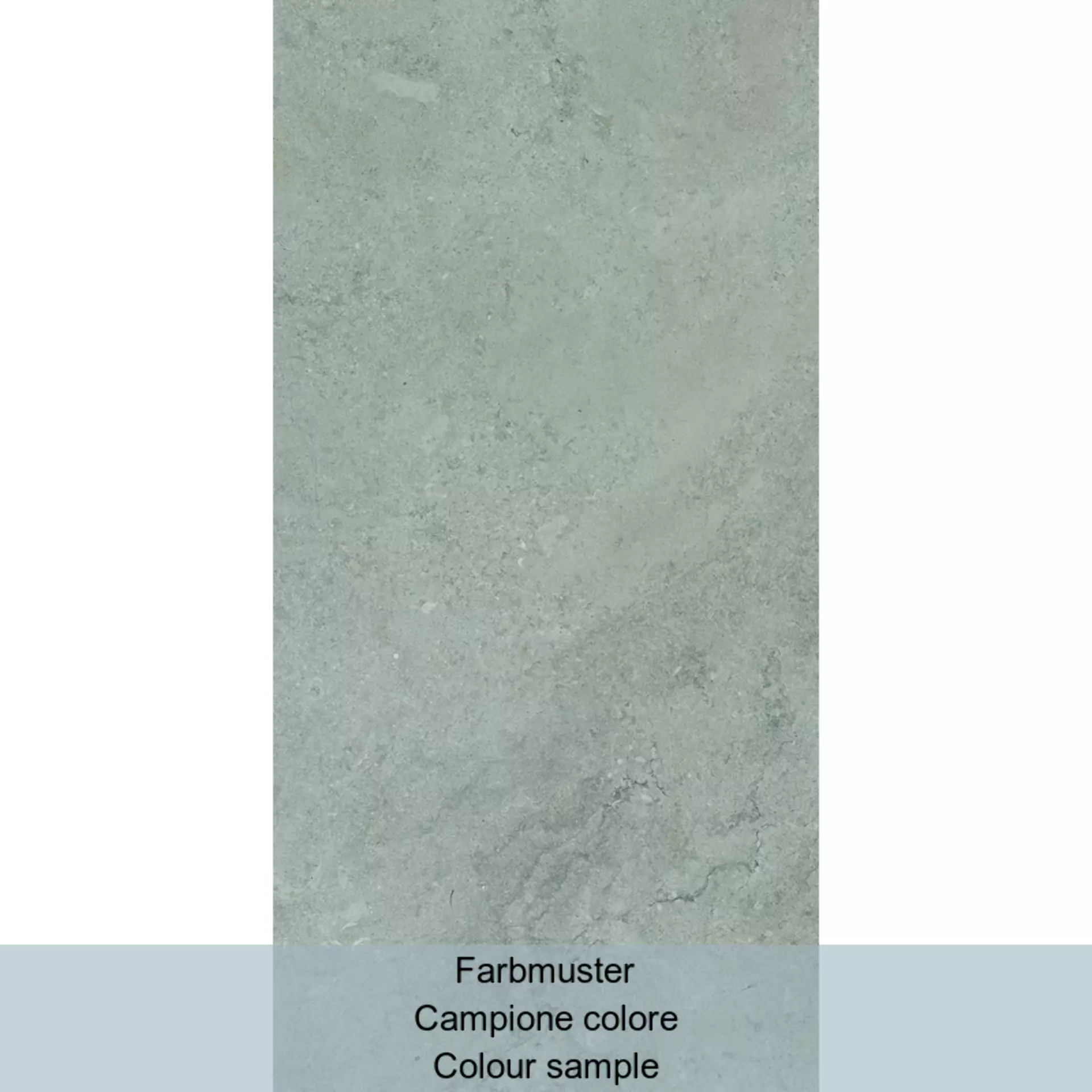 Casalgrande Chalon Grey Naturale – Matt Grey 1790150 natur matt 30x60cm rektifiziert 9mm